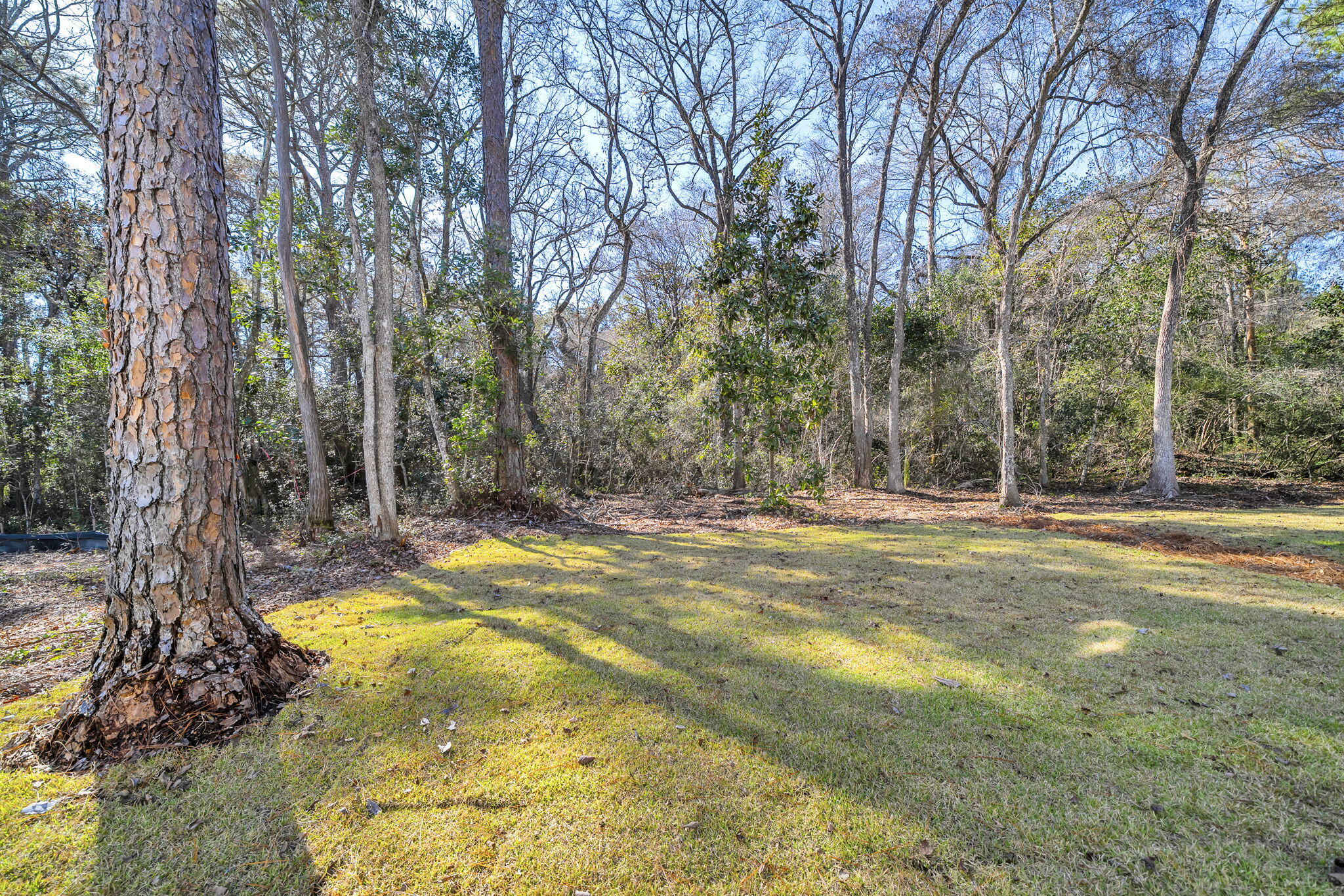 Osprey ln - Residential Lease