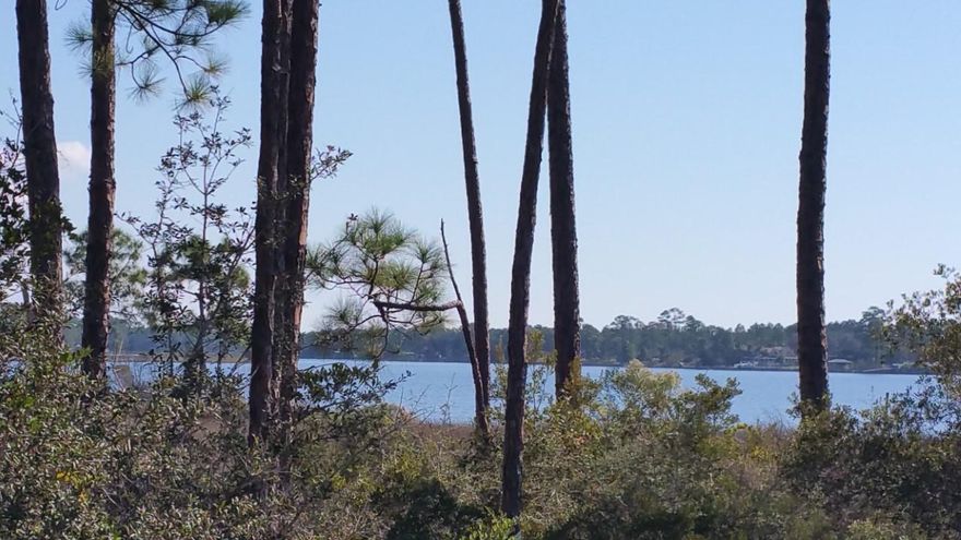 FANTASTIC LAKEVIEW HOMESITE One of the best lots in WILD HERON. Situated along the shores of Florida's largest coastal dune lake; under canopies of beautiful old oaks is a place of privacy and quiet comfort offering extravagant view of Lake Powell and three of the most picturesque Shark's Tooth fairways. This unique Coastal Craftsman community, best described as a sanctuary, offers all the world-class amenities you could ever need including, 24-hour manned entrance gate, a lakeside grill and fire pit, community swimming pool, fitness center, boardwalks, trails and parks. The Boathouse at Prospect Point includes a dock for access to Lake Powell and is well stocked with kayaks and canoes for residents' use. The Wild Heron community is minutes from the Gulf, 30A, Pier park, and all the