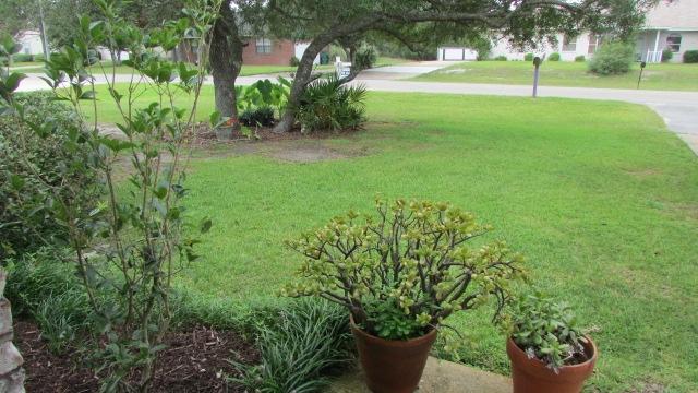 HOLLEY BY THE SEA, 1ST ADD - Residential