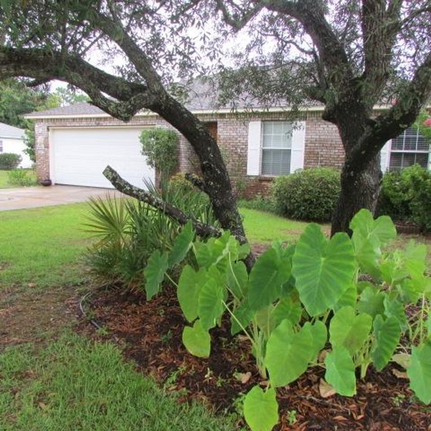 SELLER WILL PAY $4,000 TOWARDS BUYERS CLOSING COSTS! Don't be fooled by the sq. footage on this home-No space is wasted! Nice covered patio area w/plants plus fire pit and water pond with a waterfall. Lots of updates to this open floor plan home. Living area is spacious w/laminate wood flooring and 9' ceilings. The open kitchen & dining area is tiled. There is a large inside pantry and washer/dryer area. Master bedroom has plenty of room for furniture and has a walk-in closet. The garage is large with room for larger vehicles. A/C (2011), Roof (2004 dimensional shingle). Many appliances and fixtures are updated. Nicely painted too. Large yard now completely fenced. Paved street with many new larger homes all around. Enjoy the facilities of Holley by the Sea Recreation Area with gym, pools.