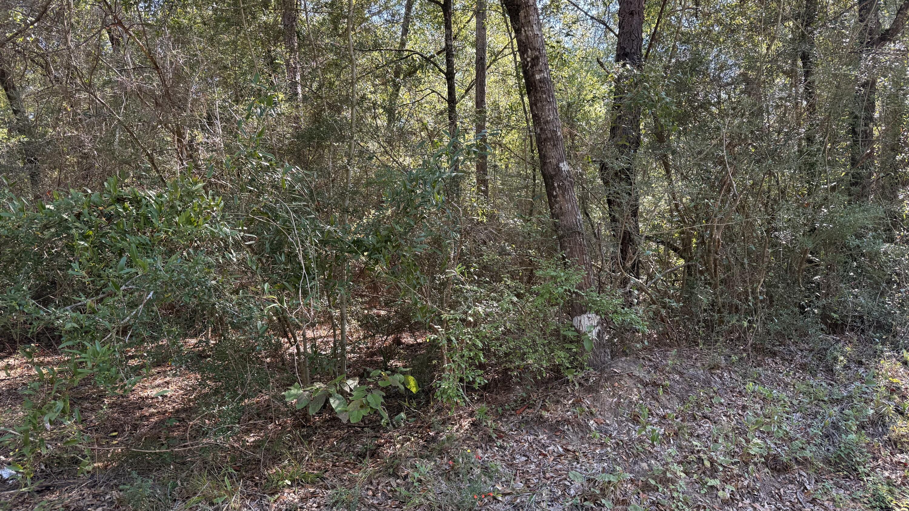 Looking to build? One acre lot available with water tap already paid. County taxes. Give me a call today to see this gem.