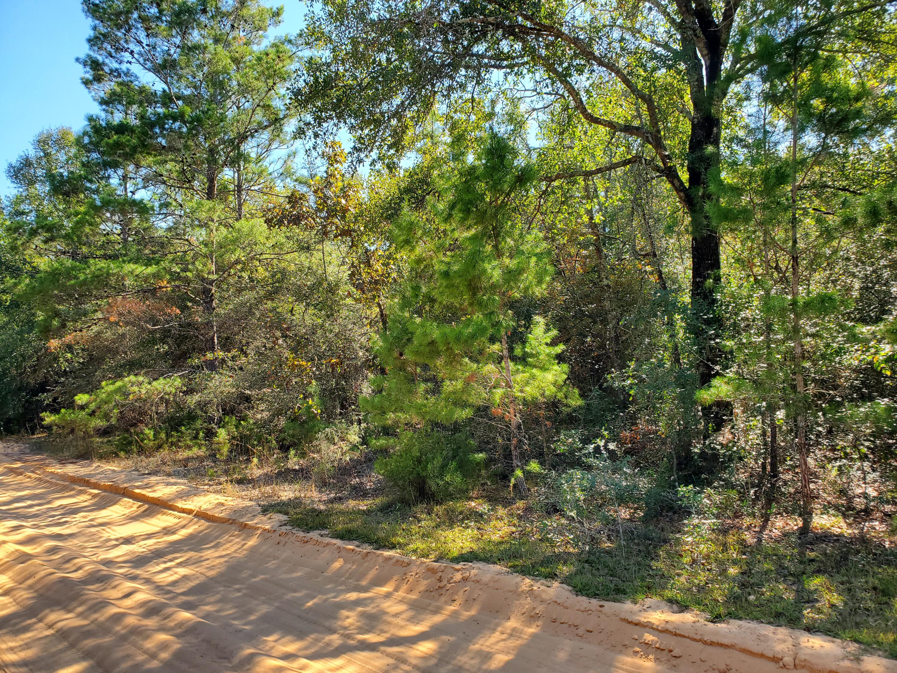 Just 45 minutes north of the most beautiful white sand beaches in the world. Enjoy the country setting of this wooded 1.1 acre lot just north of DeFuniak Springs outside city limits yet close to town.Suitable for new home. Manufactured homes welcome. Buyer is responsible to verify utilities, schools, dimensions and other matters of importance.