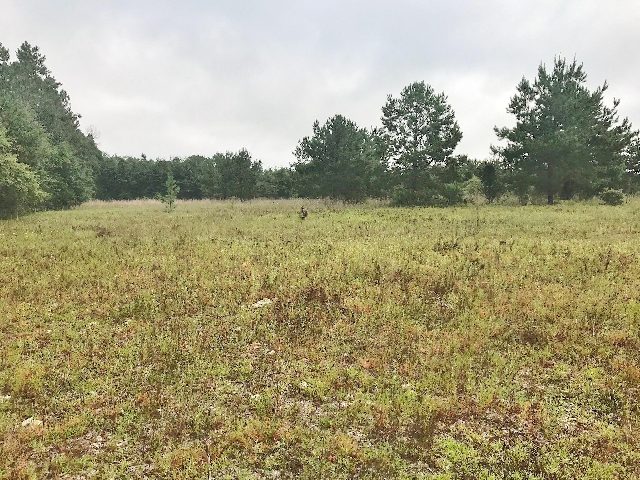 This 18 acre parcel is the perfect home site for your country retreat, barn and HORSES. Located in the beautiful countryside of north Walton County, with 428' road frontage, this parcel has approx. 8 cleared acres with a flowing creek running east to west on the wooded north acreage. The property is partially fenced on east and west sides with an entry gate. 7 minute drive to Florala, 25-30 minutes to DeFuniak Springs or Crestview.