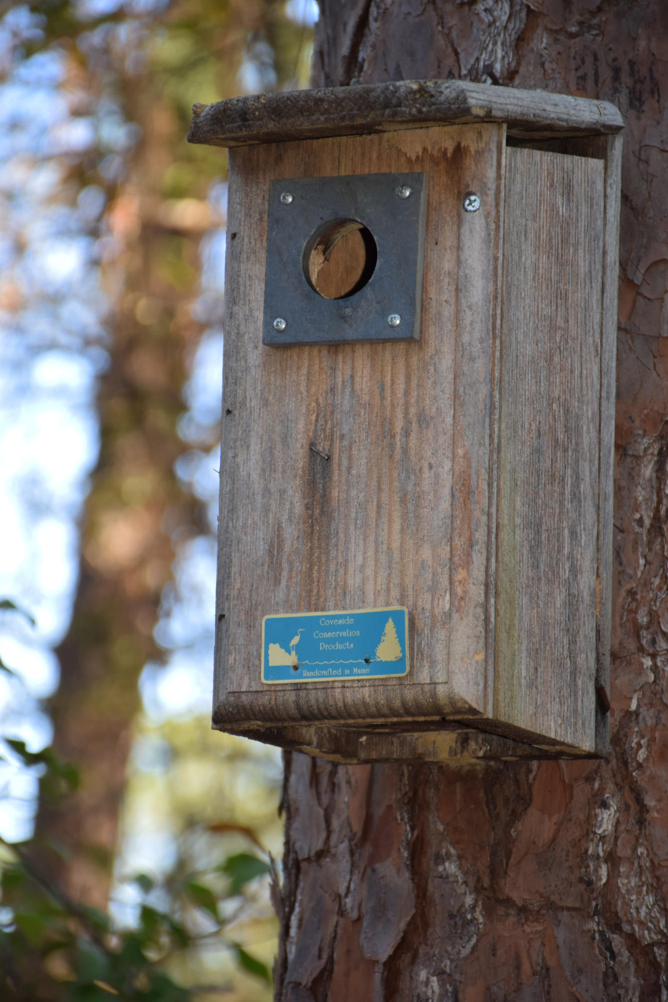 ST ANDREWS WEST BLUEWATER BAY 1 - Residential