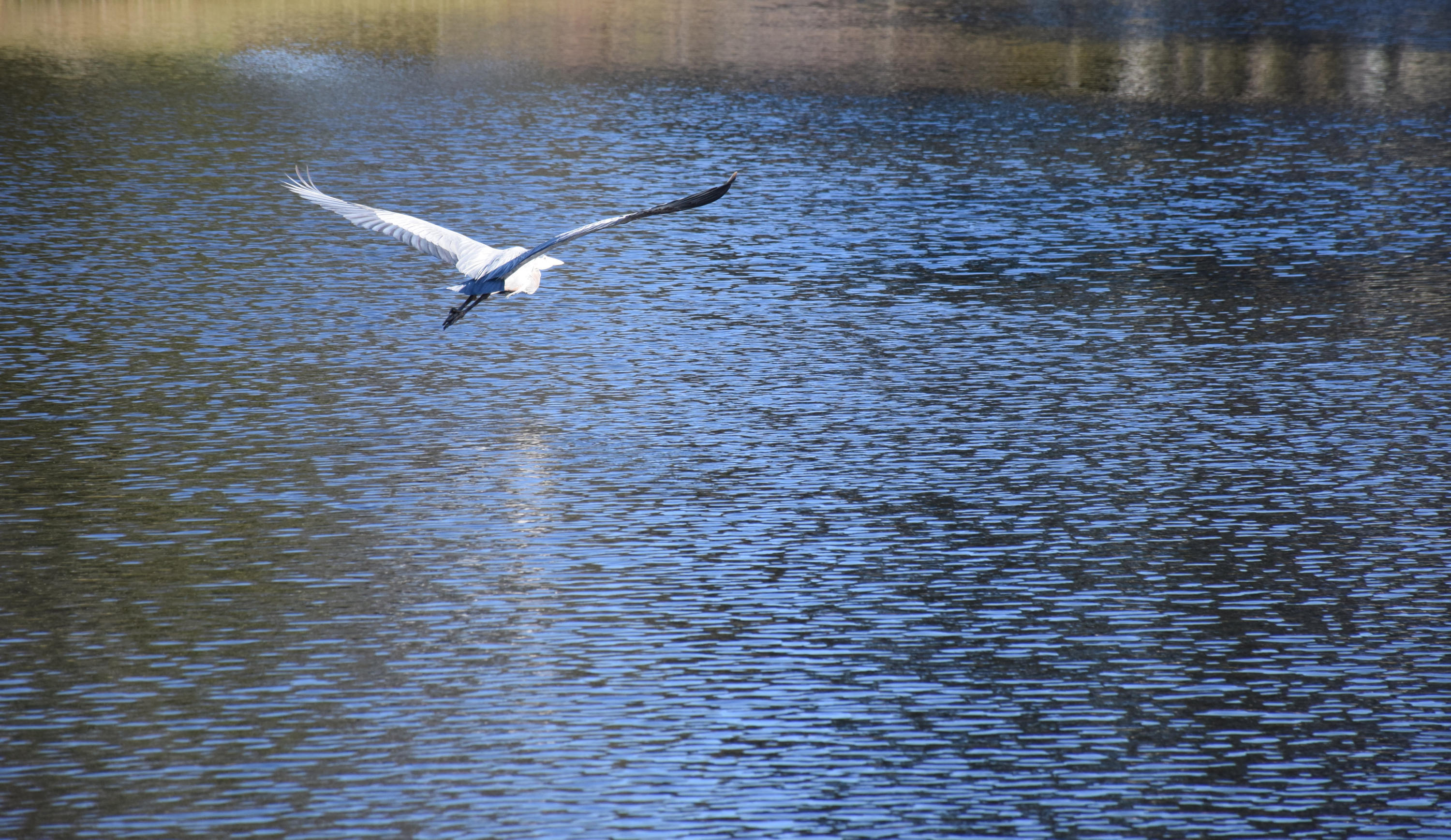 ST ANDREWS WEST BLUEWATER BAY 1 - Residential