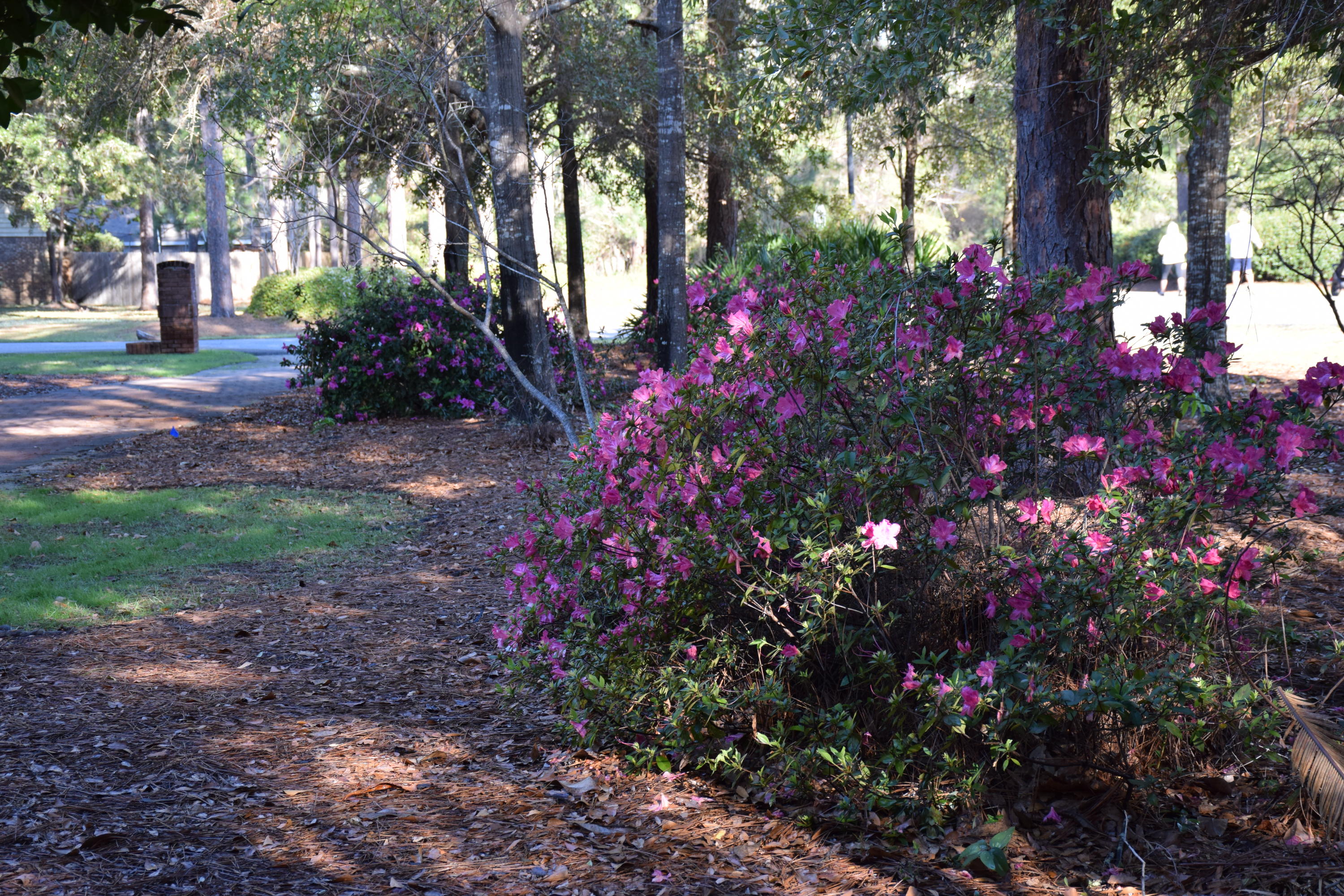 ST ANDREWS WEST BLUEWATER BAY 1 - Residential