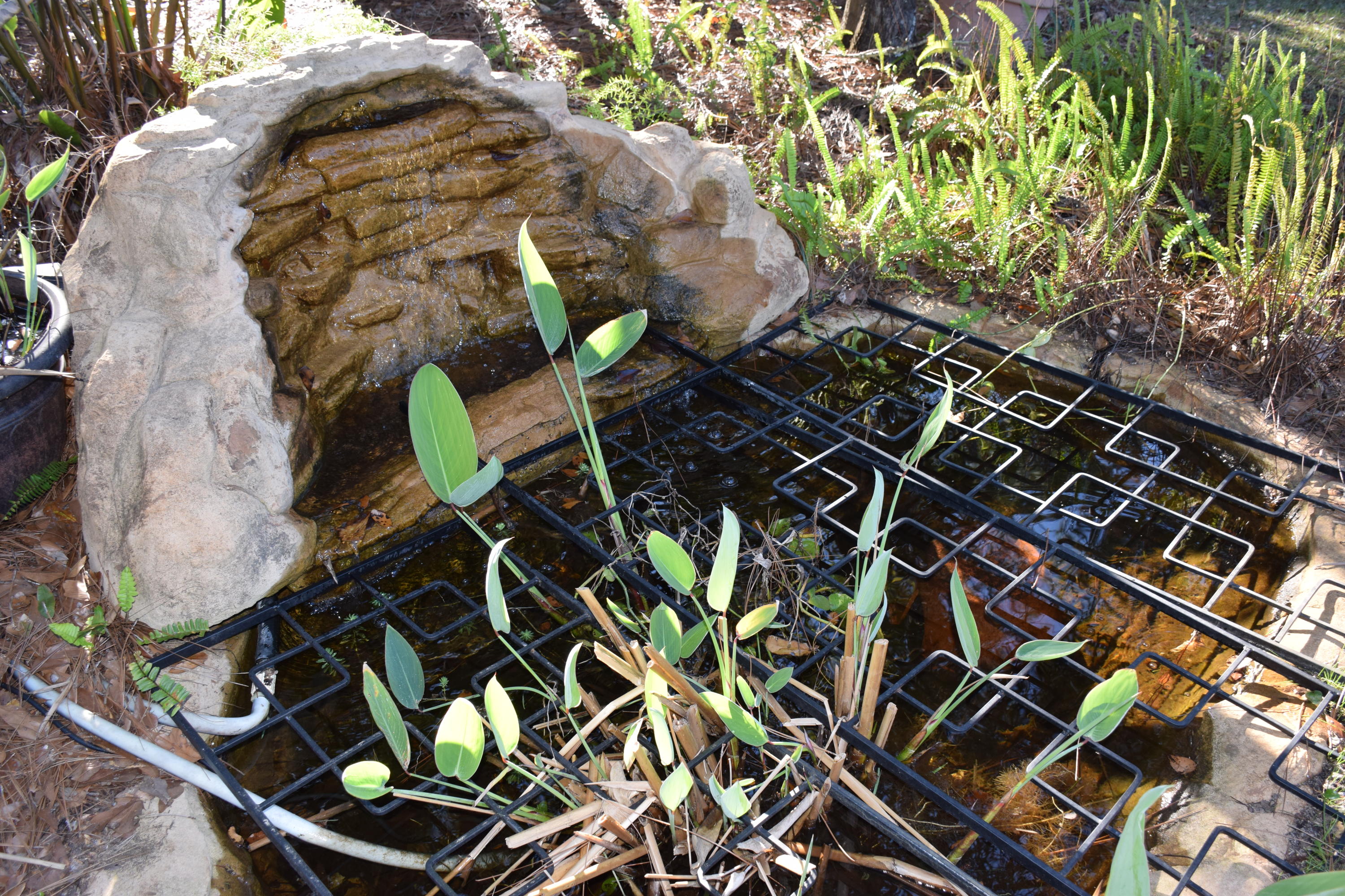 ST ANDREWS WEST BLUEWATER BAY 1 - Residential