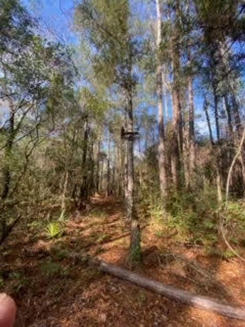 Parcel C W Sunburst Drive Crestview FL 32539