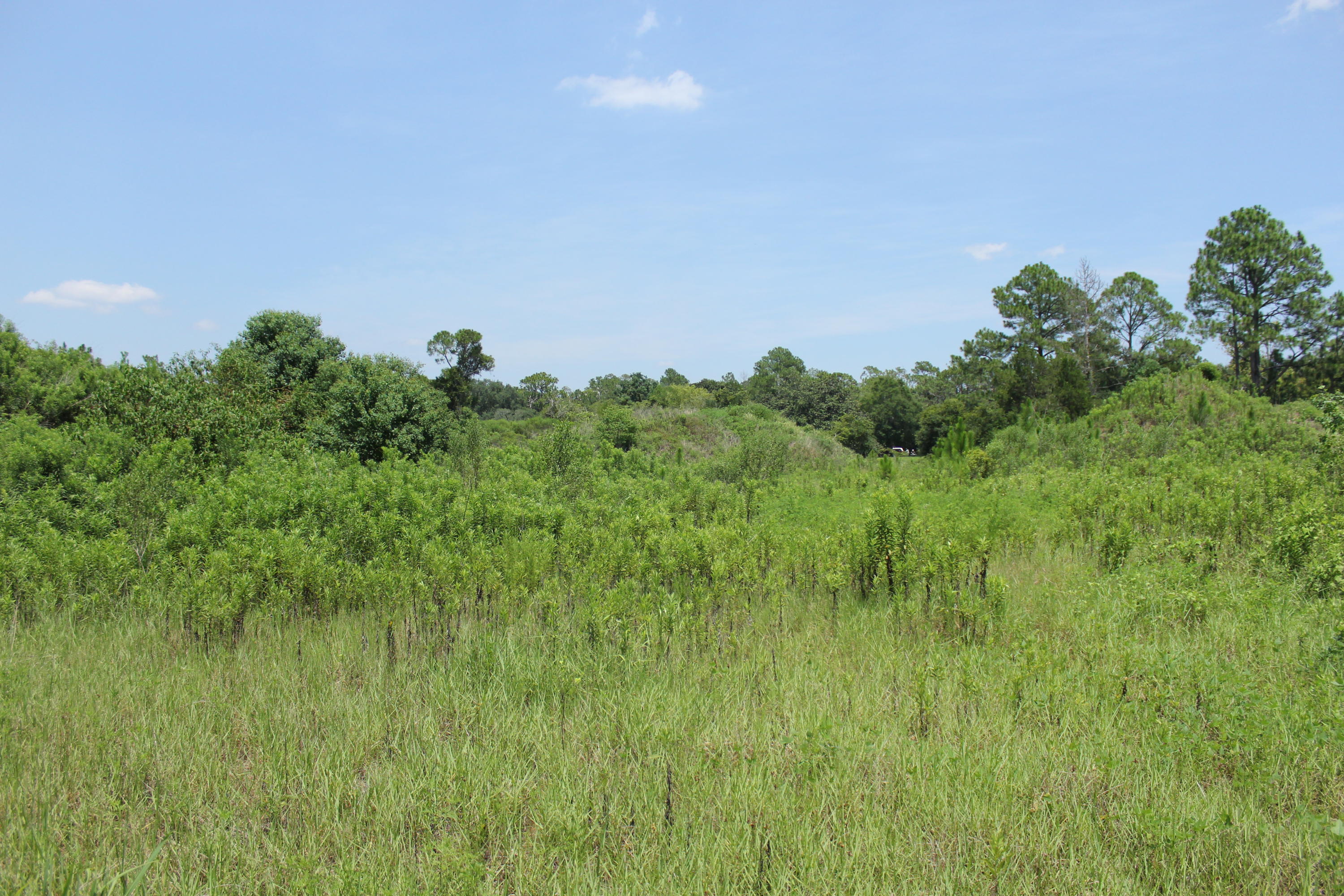 N Beal Extension - Land