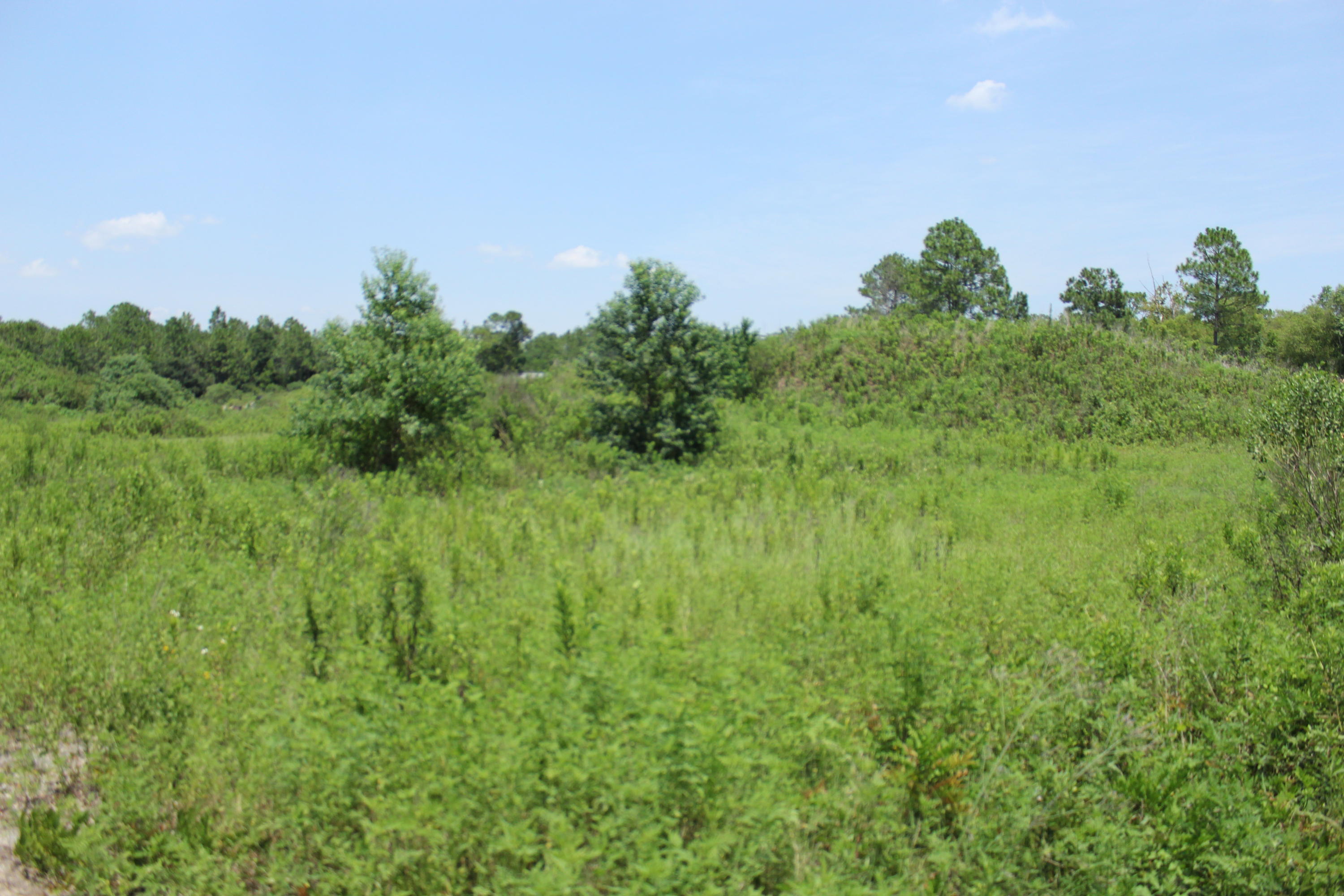 N Beal Extension - Land