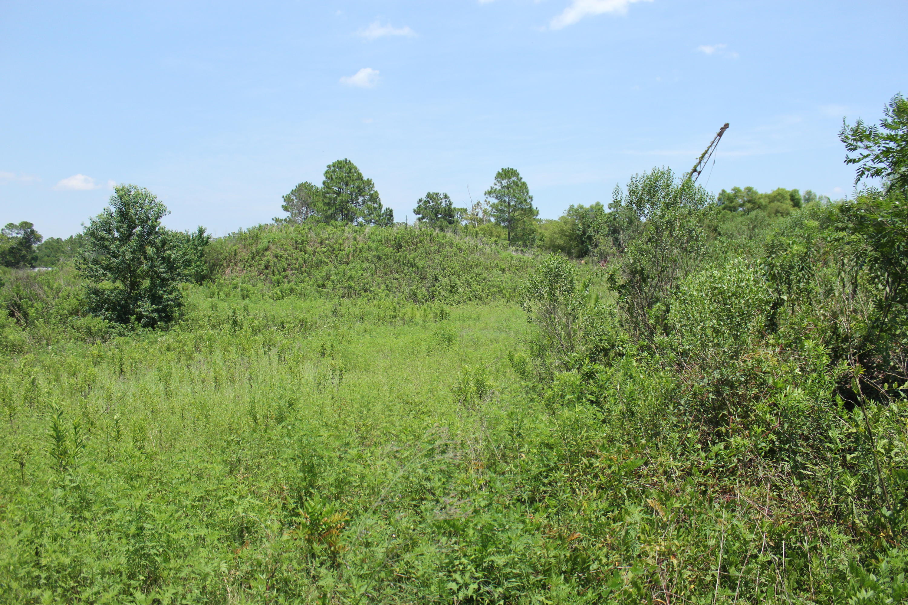 N Beal Extension - Land