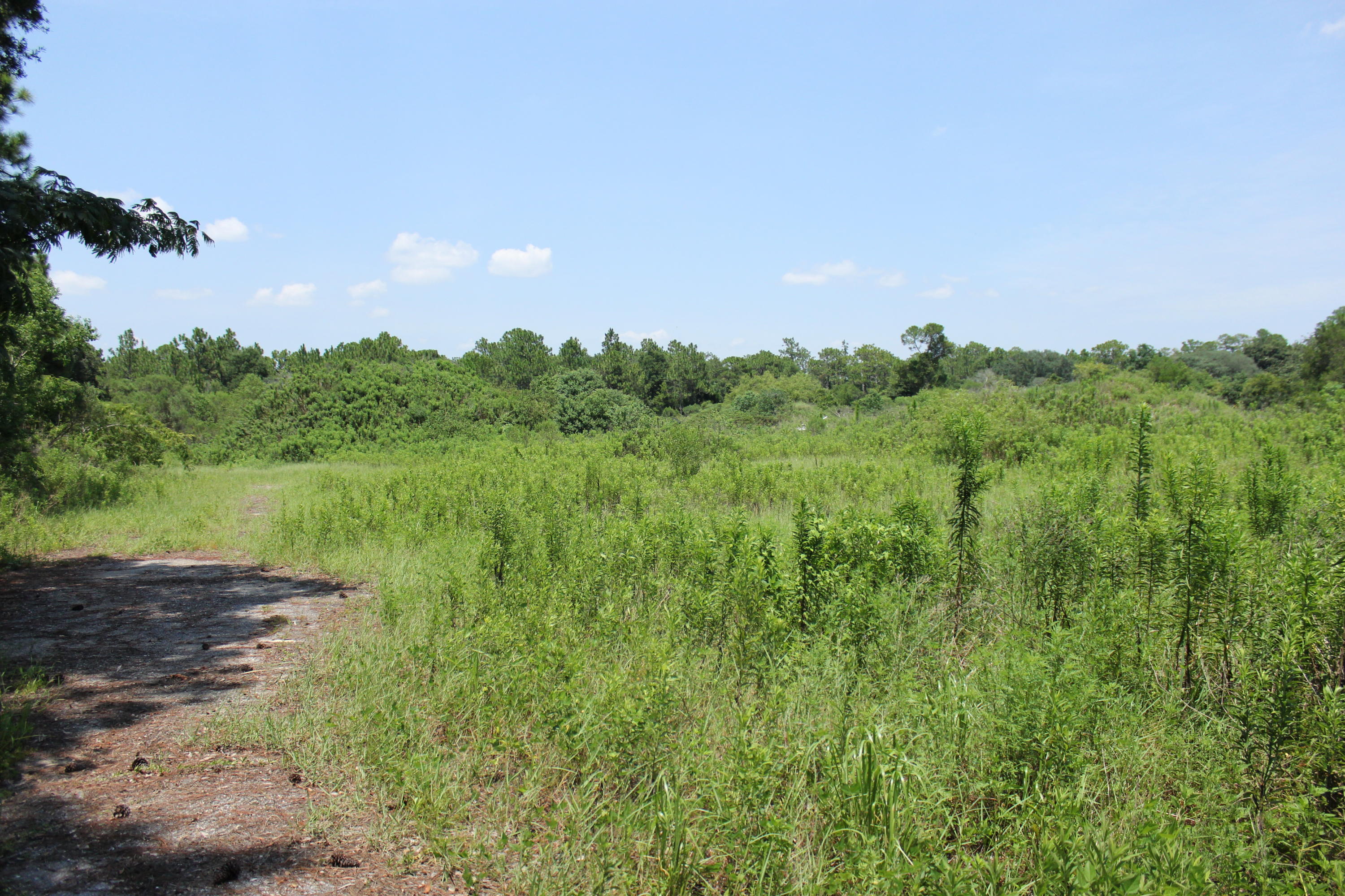 N Beal Extension - Land