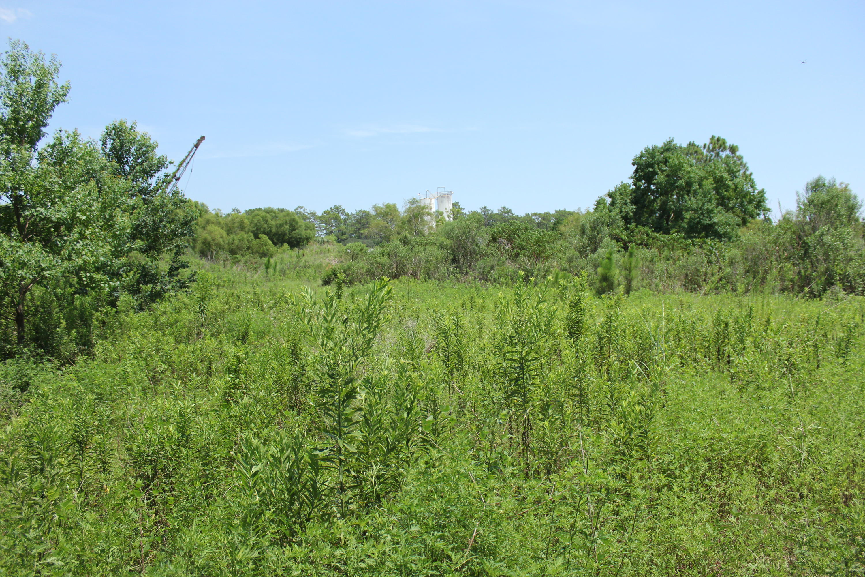 N Beal Extension - Land