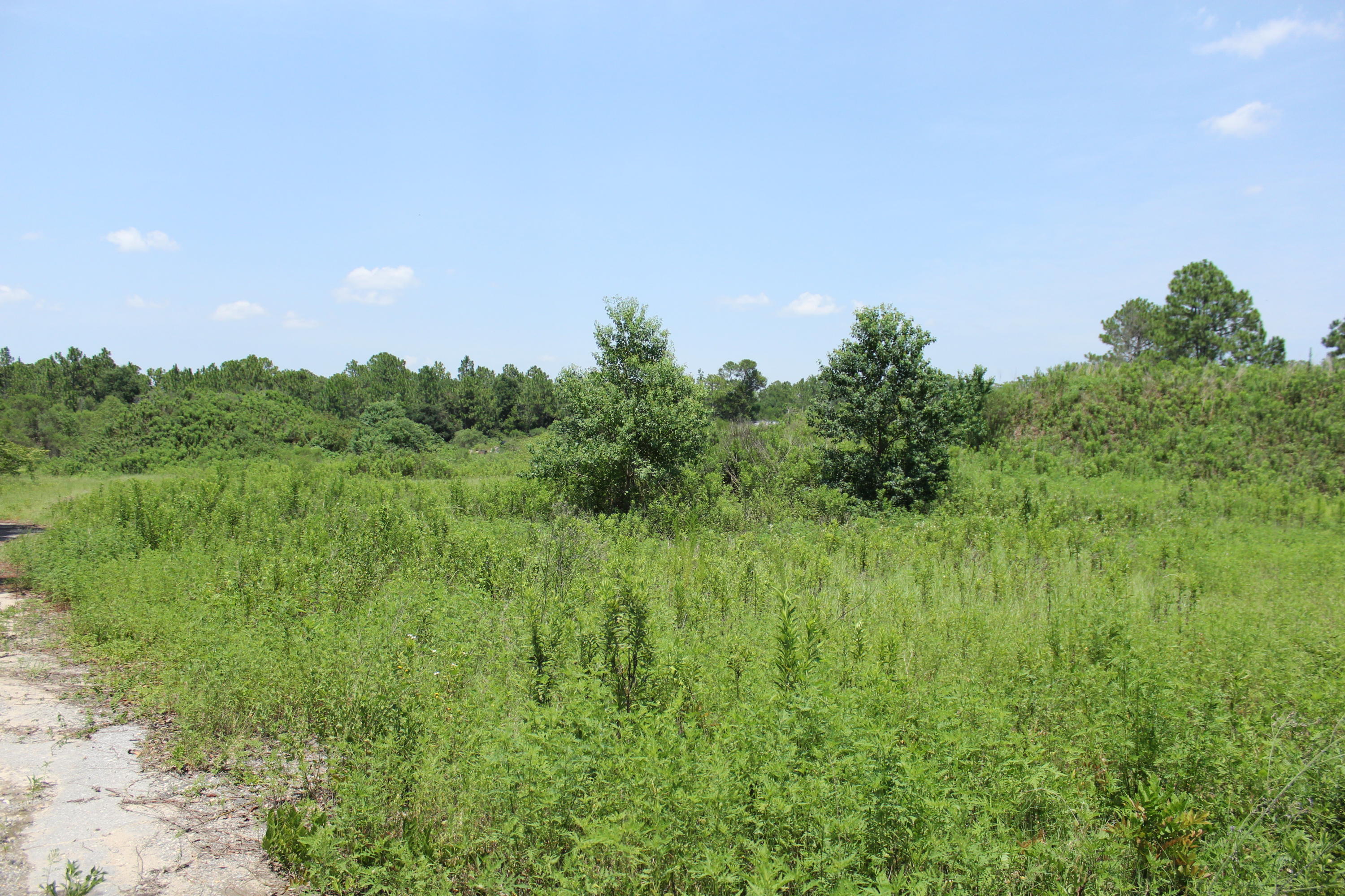 N Beal Extension - Land