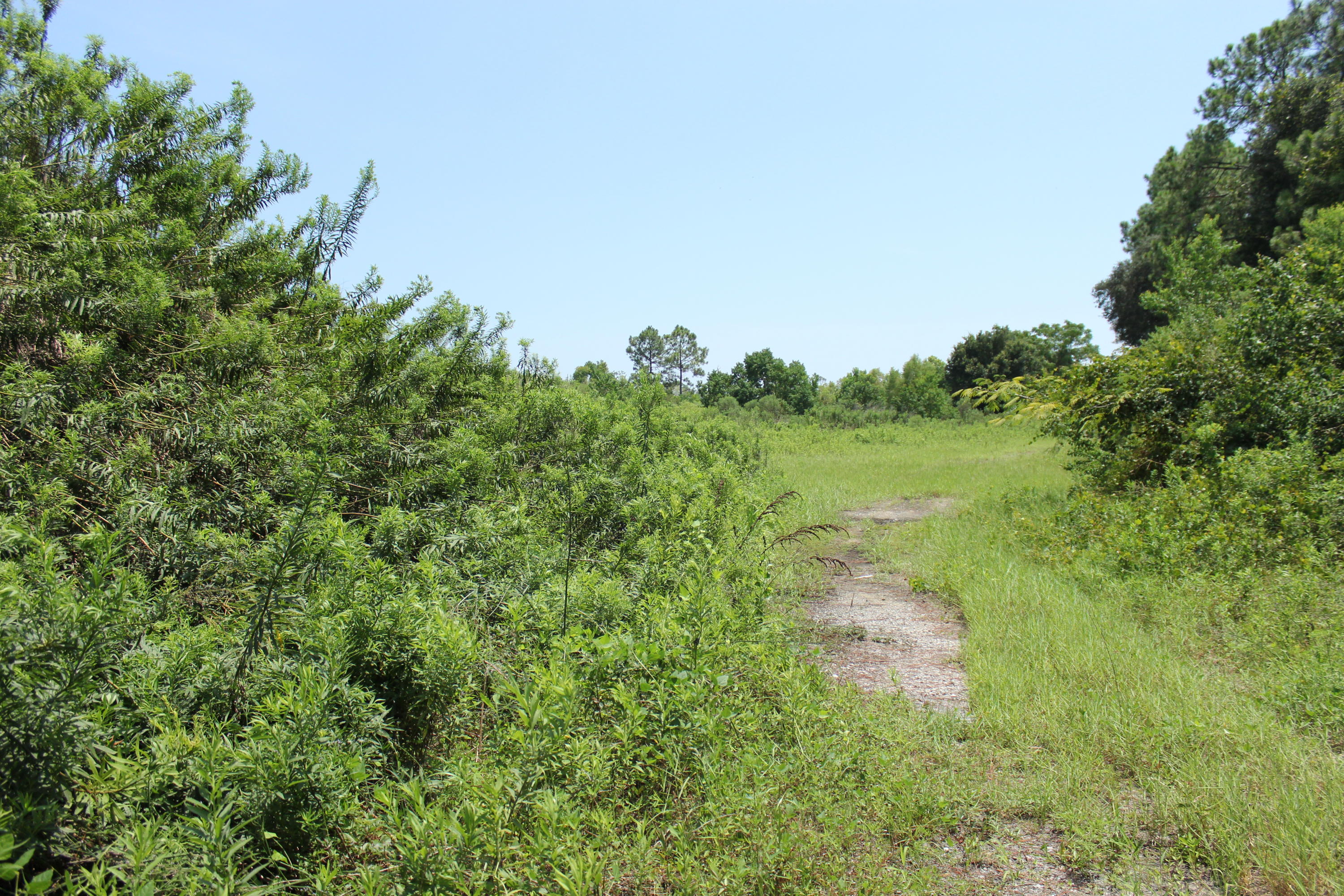 N Beal Extension - Land