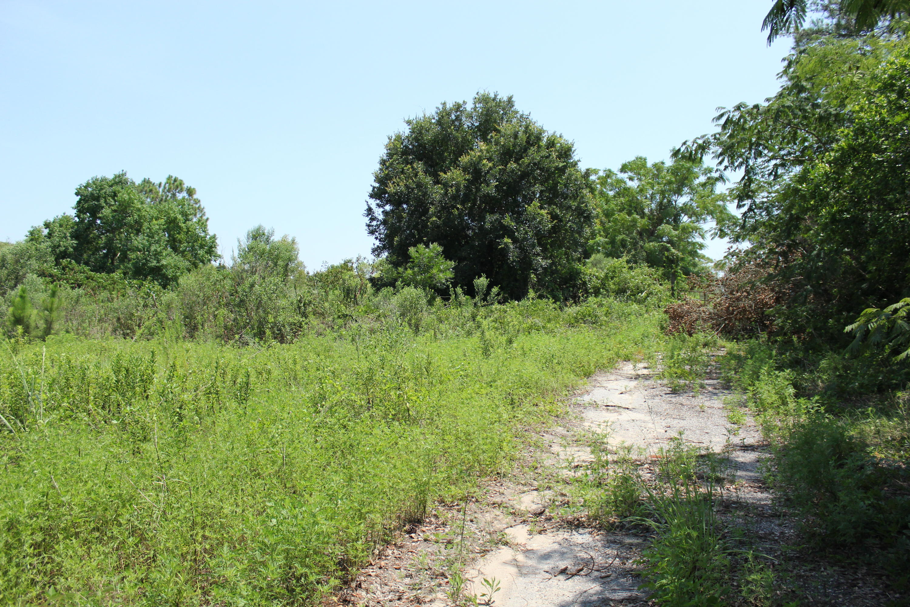 N Beal Extension - Land