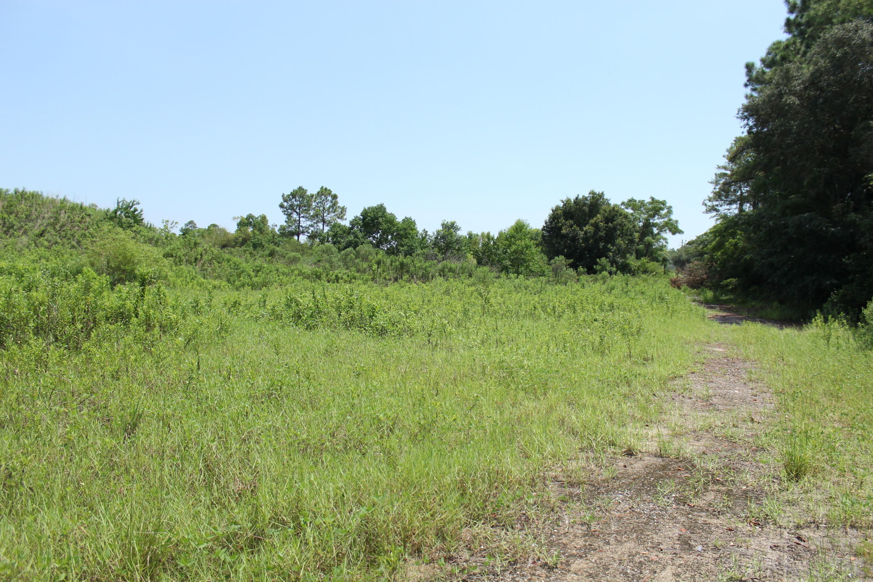 N Beal Extension - Land