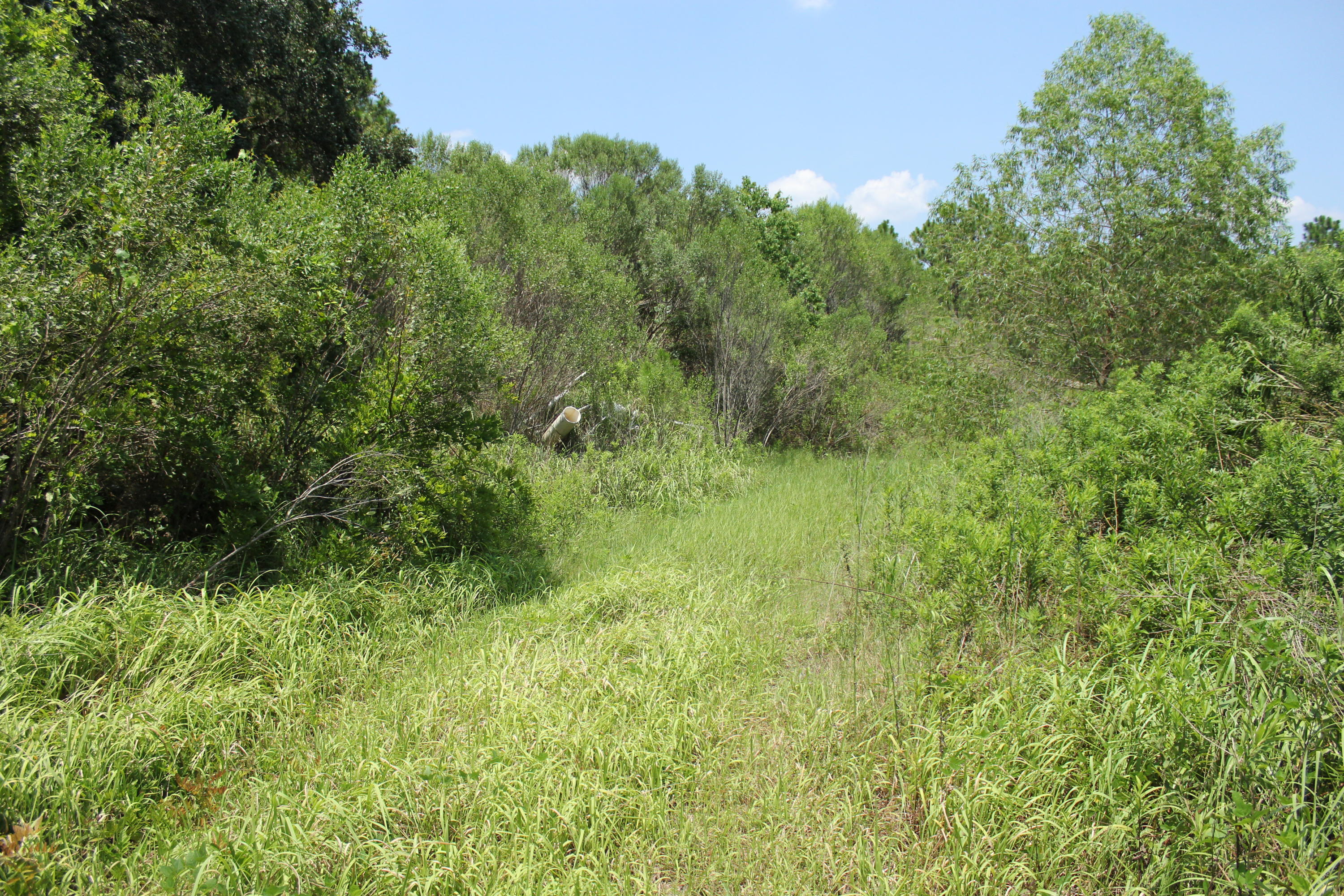 N Beal Extension - Land