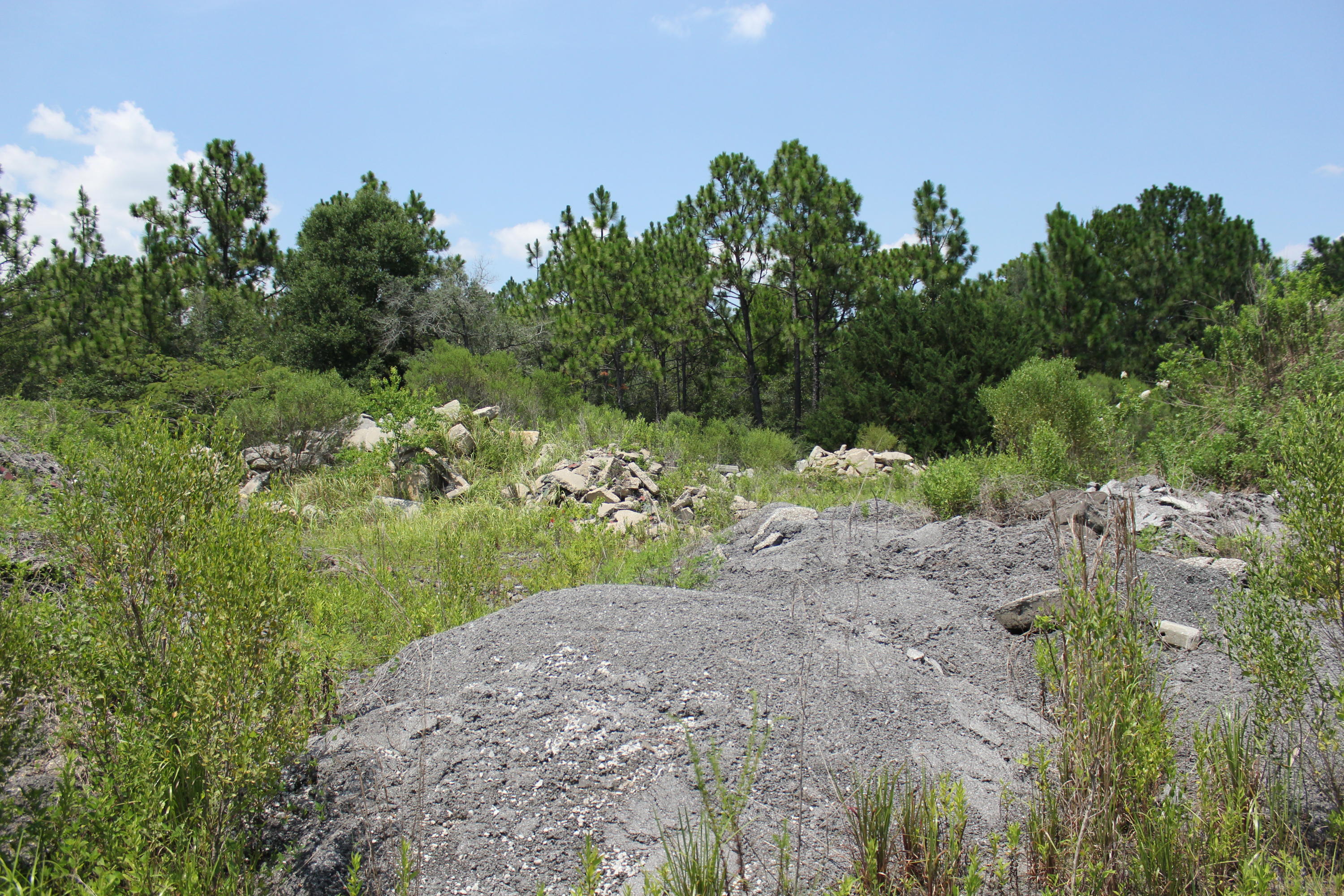 N Beal Extension - Land