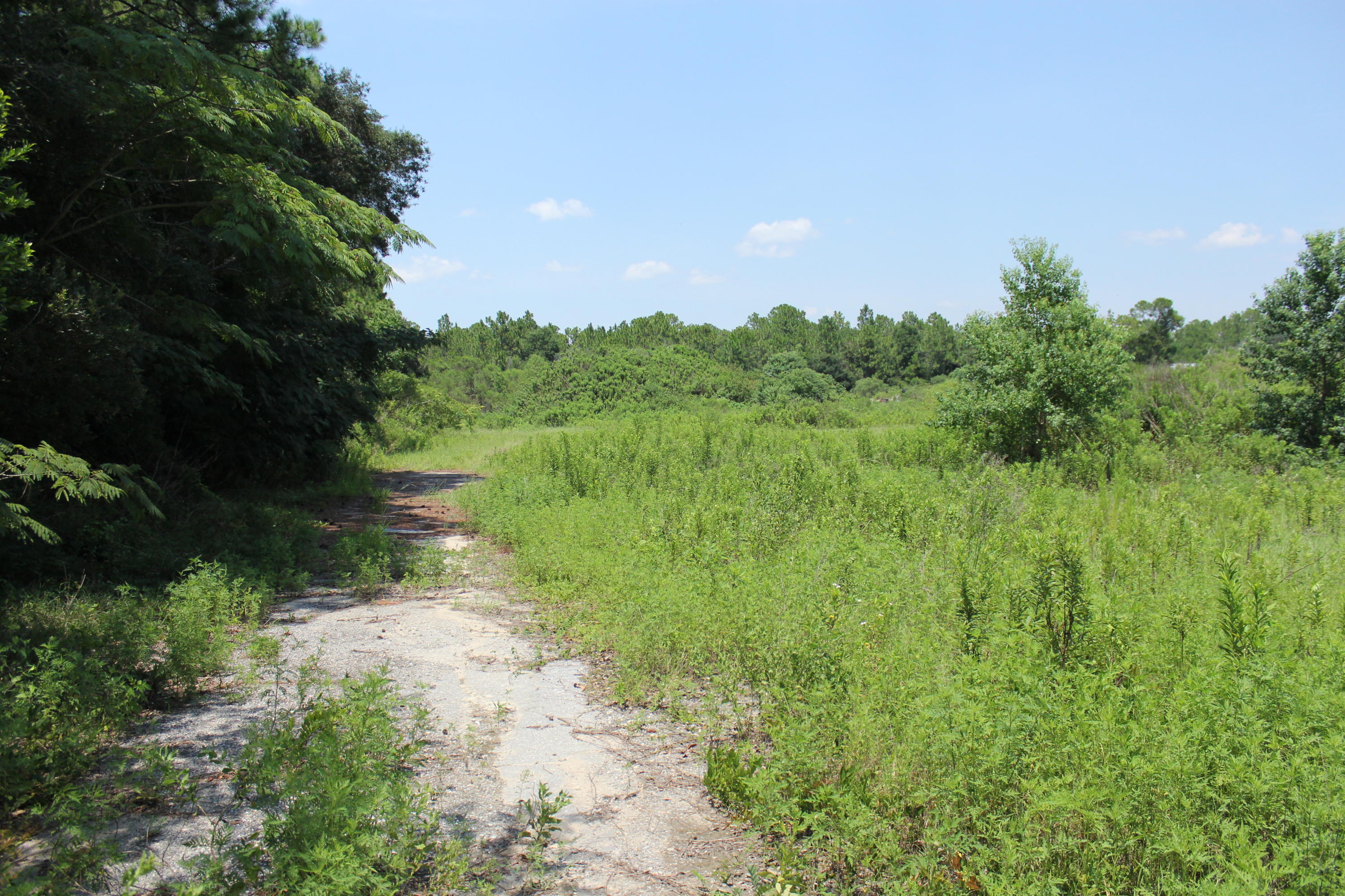 N Beal Extension - Land