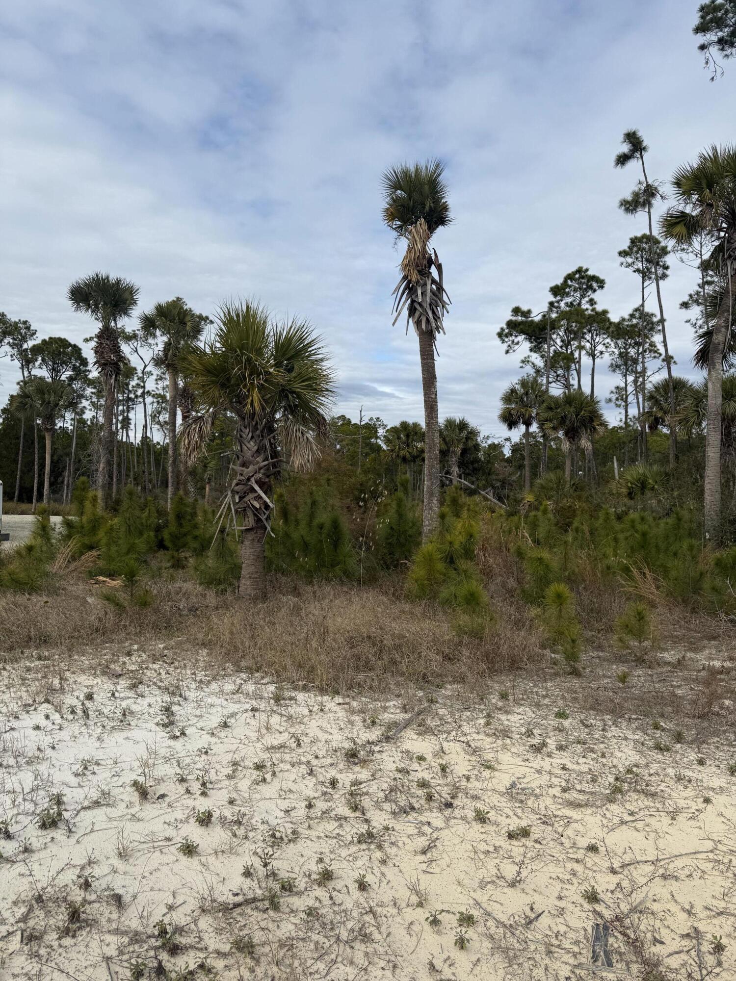 Great Location for an entry level building lot that is in a FEMA flood zone! Located between Indian Pass and Cape San Blas for easy access in either direction. Additionally this lot backs up to 100s of acres of state lands for no back door neighbors. Located only about 2/3 of a mile from the Lee St public access where automobile and golf cart beach driving is permissible. Only about 10 minutes to Port St Joe and 20 minutes to Apalachicola for plenty of dining and entertainment options.