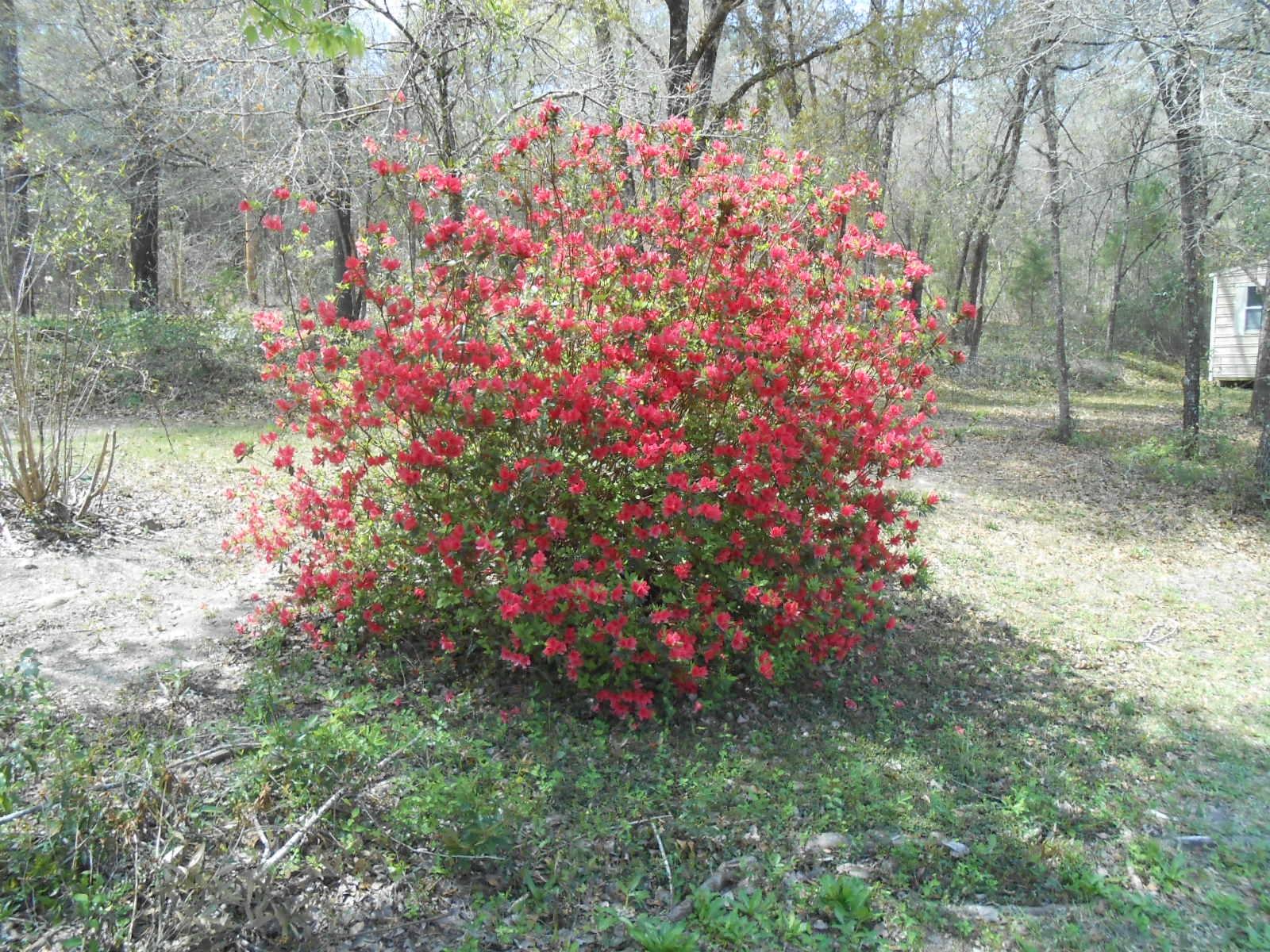 Holley Family PH 1 - Residential