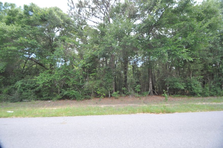 Hugh 44 Ac parcel just off Wilkerson Bluff Rd. Great for a Hugh hunting reserve or break it up and build your own subdivision. Or just build your dream home add a pond...enjoy the wildlife. This parcel combined with 05 2N 24 0000 0002 017A is the presented property for sale. A total of 1500ft road front on this property.