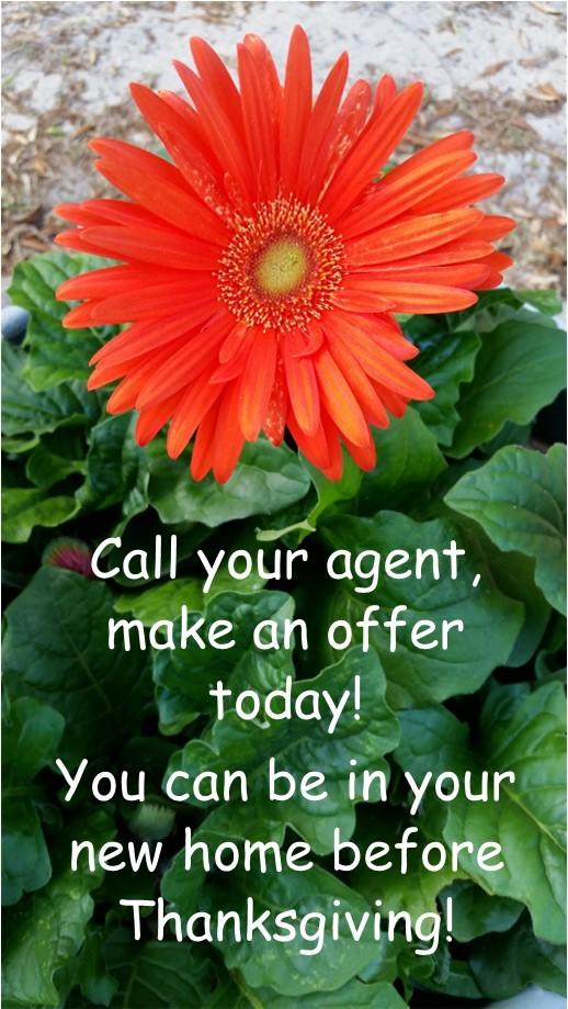 PALM,PINEWD,PARADISE - Residential