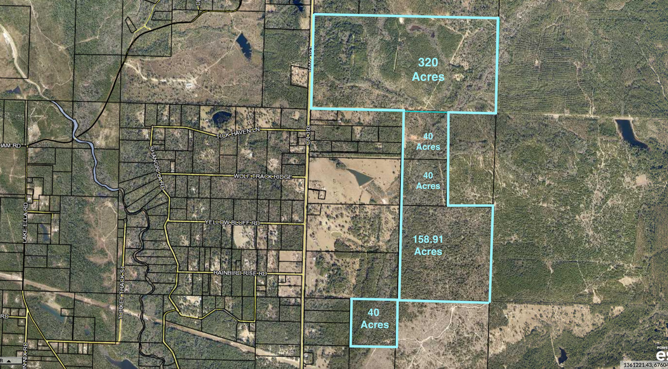 Perfect hunting or farm land fronting County Highway 393.  This offering consists of 5 contiguous parcels totaling 598 Acres in the Dorcus / Deerland Area of Crestview, and is approximately 6 miles north of HWY 90 near the Okaloosa and Walton County Line.   The Parcel I.D.'s being offered for sale are as follows;13-4N-22-0000-0001-0010, 24-4N-22-0000-0002-001A, 24-4N-22-0000-0002-0010, 24-4N-22-0000-0002-0000,25-4N-22-0000-0002-0000.