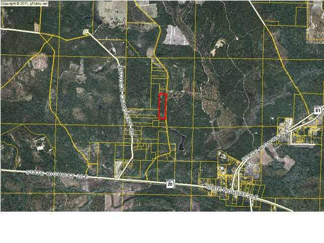 REO-Over 22 acres of secluded woods. Property adjoins hunting camp. Great for hunting, forestry, or seclusion.