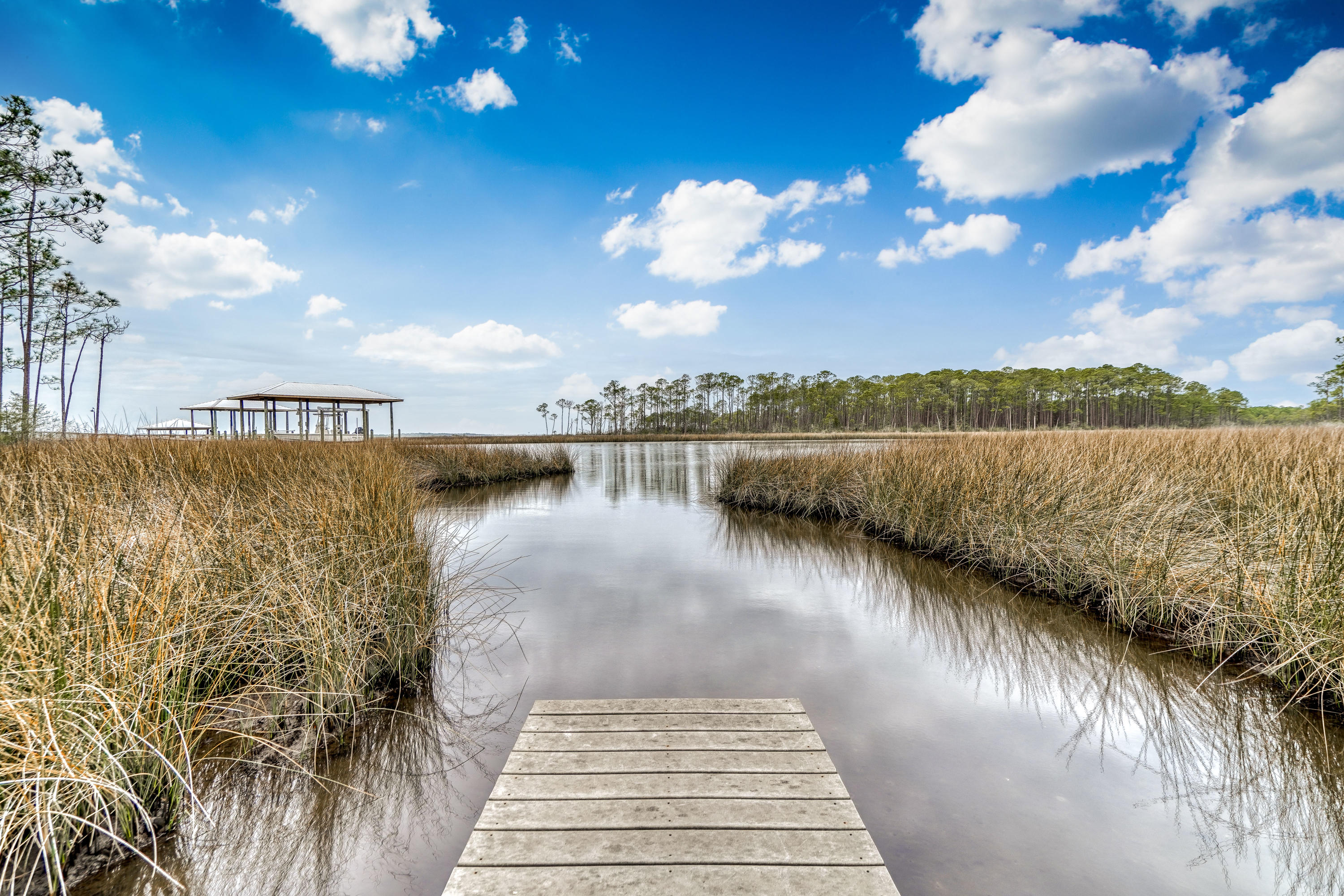 CESSNA LANDING - Land