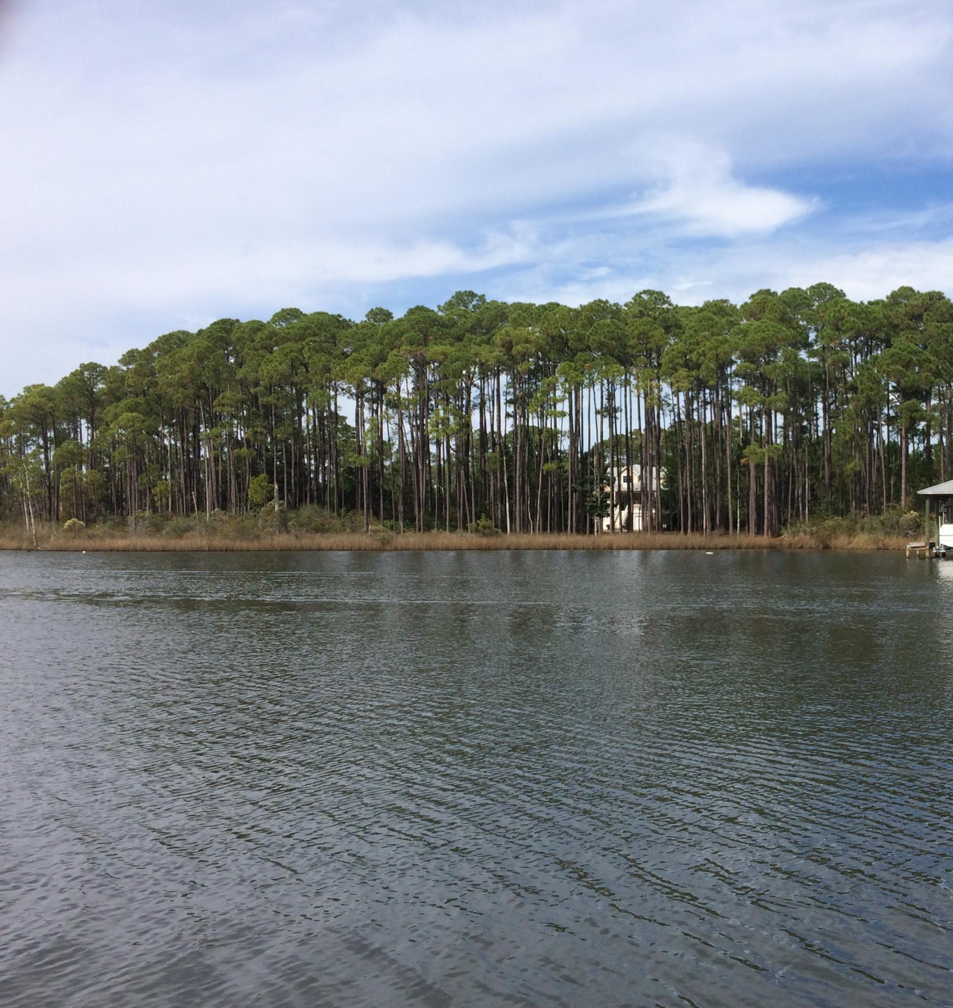 CESSNA LANDING - Land