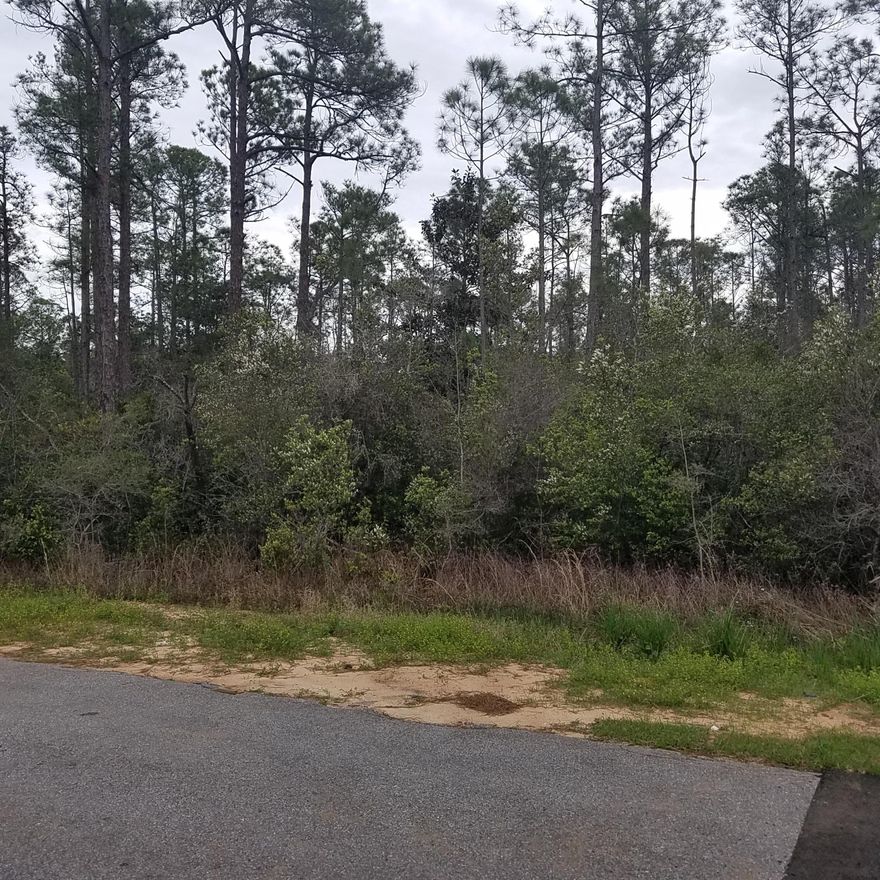 Lot For Sale in The desirable Holley By The Sea Neighborhood, with access to their community facilities, including swimming pools, boat launch, tennis courts, sauna, meeting rooms and much more. http://www.holleybythesea.org/