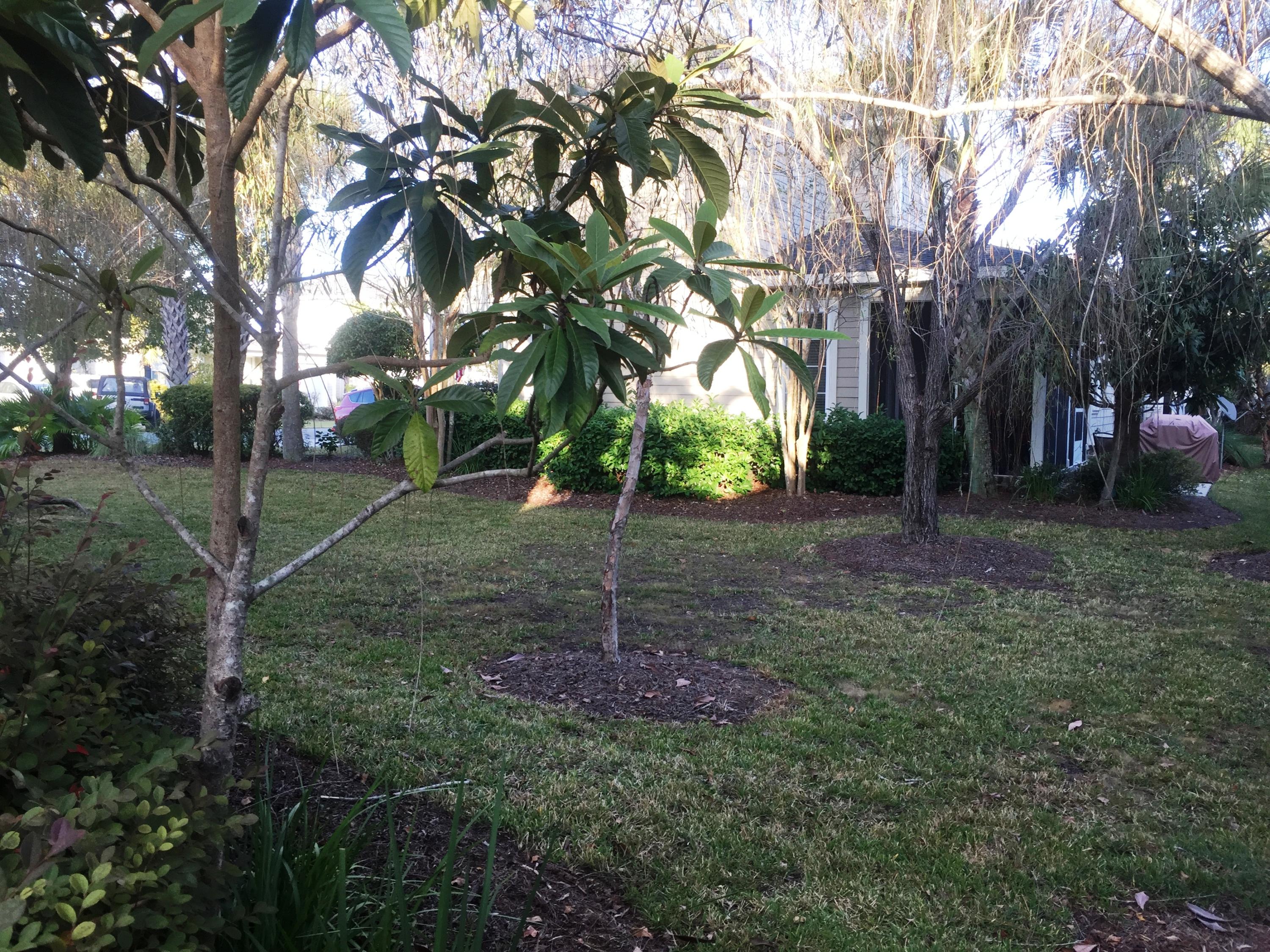 CHURCH STREET VILLAGE - Residential