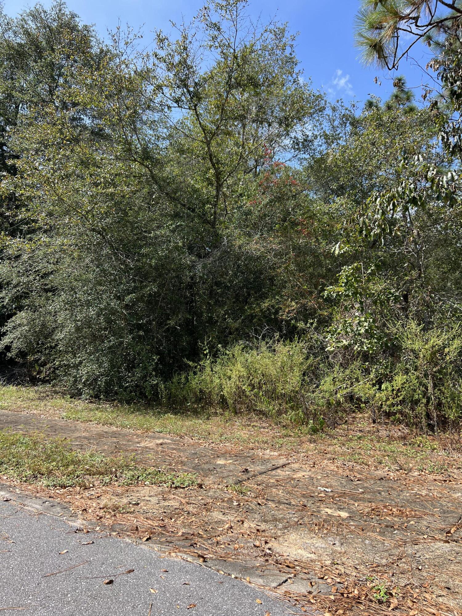 Juniper Trace - Land