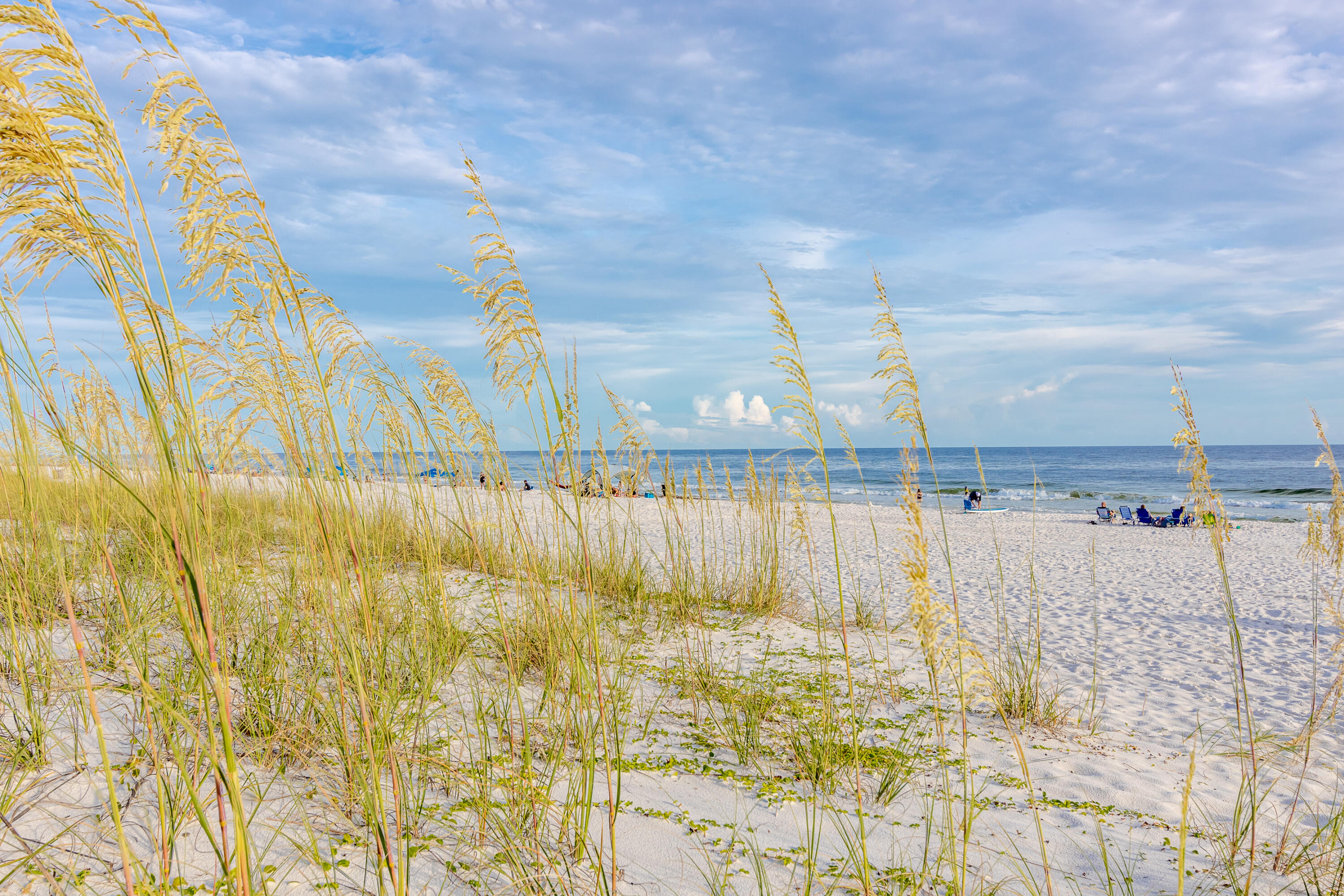 SAND DOLLAR ESTATES - Residential