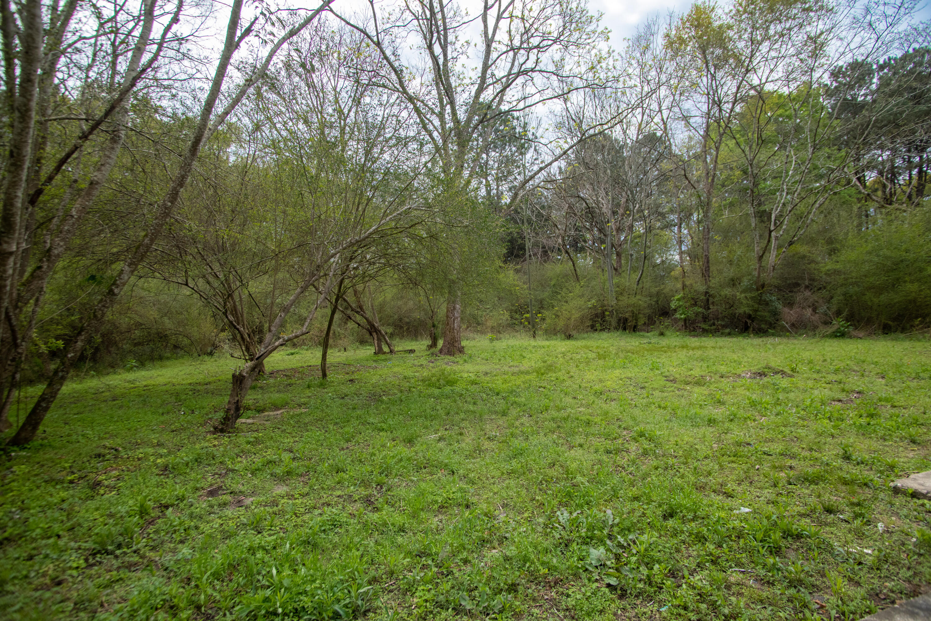 NONESUCH WAY - Residential