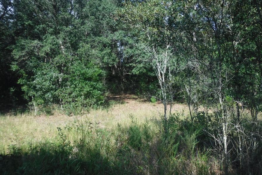 Location, Location, Location Antioch road is a great place to live, close to 90 or by pass Crestview to PJ Adams. This 4.78 is made up of 3 parcels, one for 3.4 acres, 1.09 acres and .29 acres.  Nearly 5 acres will make for a great home.  The 1.09 lot is improved with water and septic.