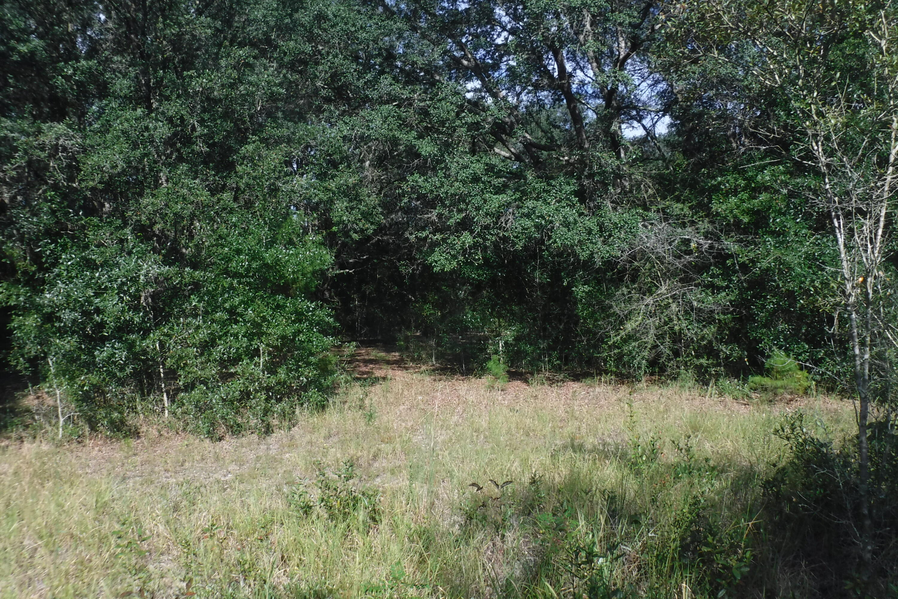 26-3N-24-0000-0006-0000 3.4 acres26-3N-24-0000-0002-0040 .29 acre26-3N-24-0000-0002-002A 1.09 ac - Land