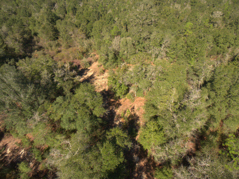 A great piece of property only a few miles from the town of Holt and I-10 access.  The seller has cleared walking trails along property lines to give a general idea and to allow easier access. This parcel has been surveyed and is on file. It is a divided portion from a larger tract. Many wonderful trees and future homesites.