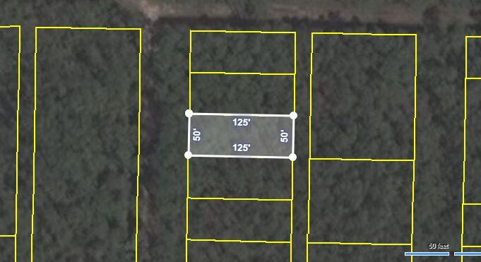 NO HOA and ready to build! Easy access to the Bay and Gulf. This is the fastest growing area in Santa Rosa Beach with new Golds Gym, Amphitheater coming soon, close to shopping, dining, and a boat launch right around the corner. Seller has septic permitting and multiple surveys available!