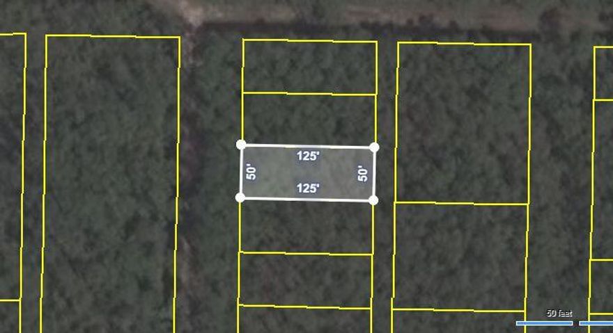 NO HOA and ready to build! Easy access to the Bay and Gulf. This is the fastest growing area in Santa Rosa Beach with new Golds Gym, Amphitheater coming soon, close to shopping, dining, and a boat launch right around the corner.  Seller has septic permitting and multiple surveys available!