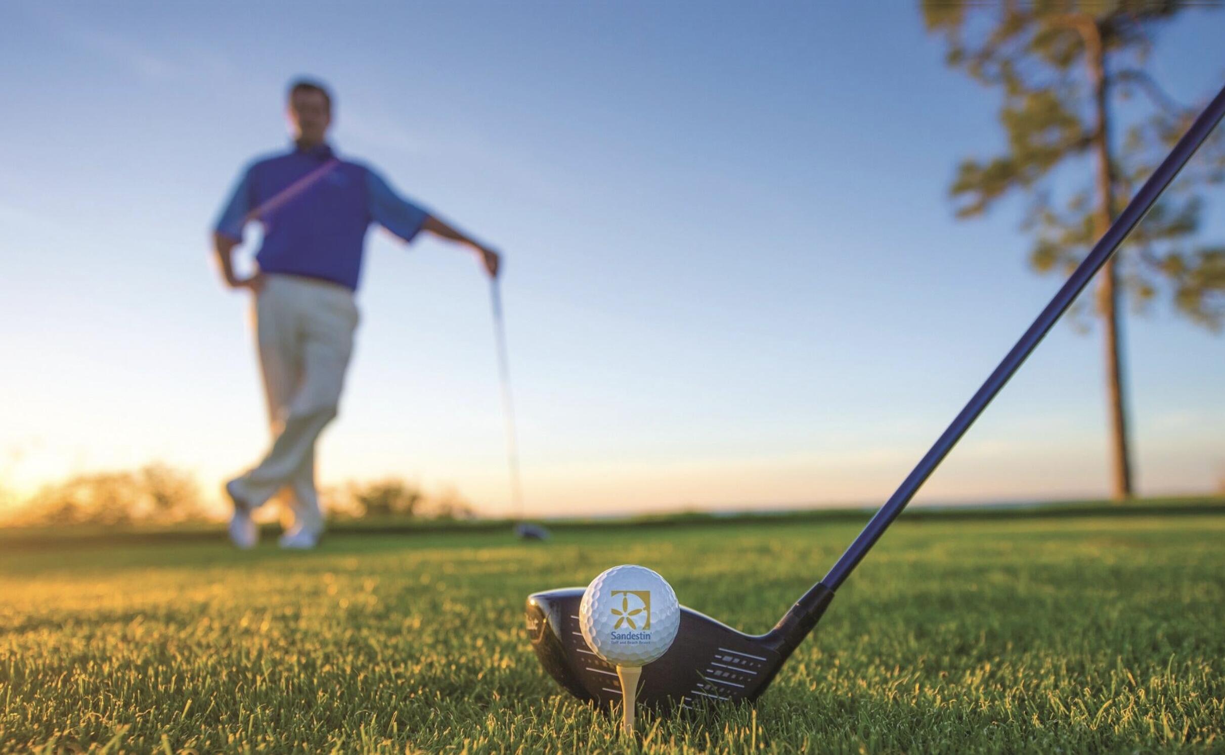 BAYSIDE CONDO SANDESTIN - Residential