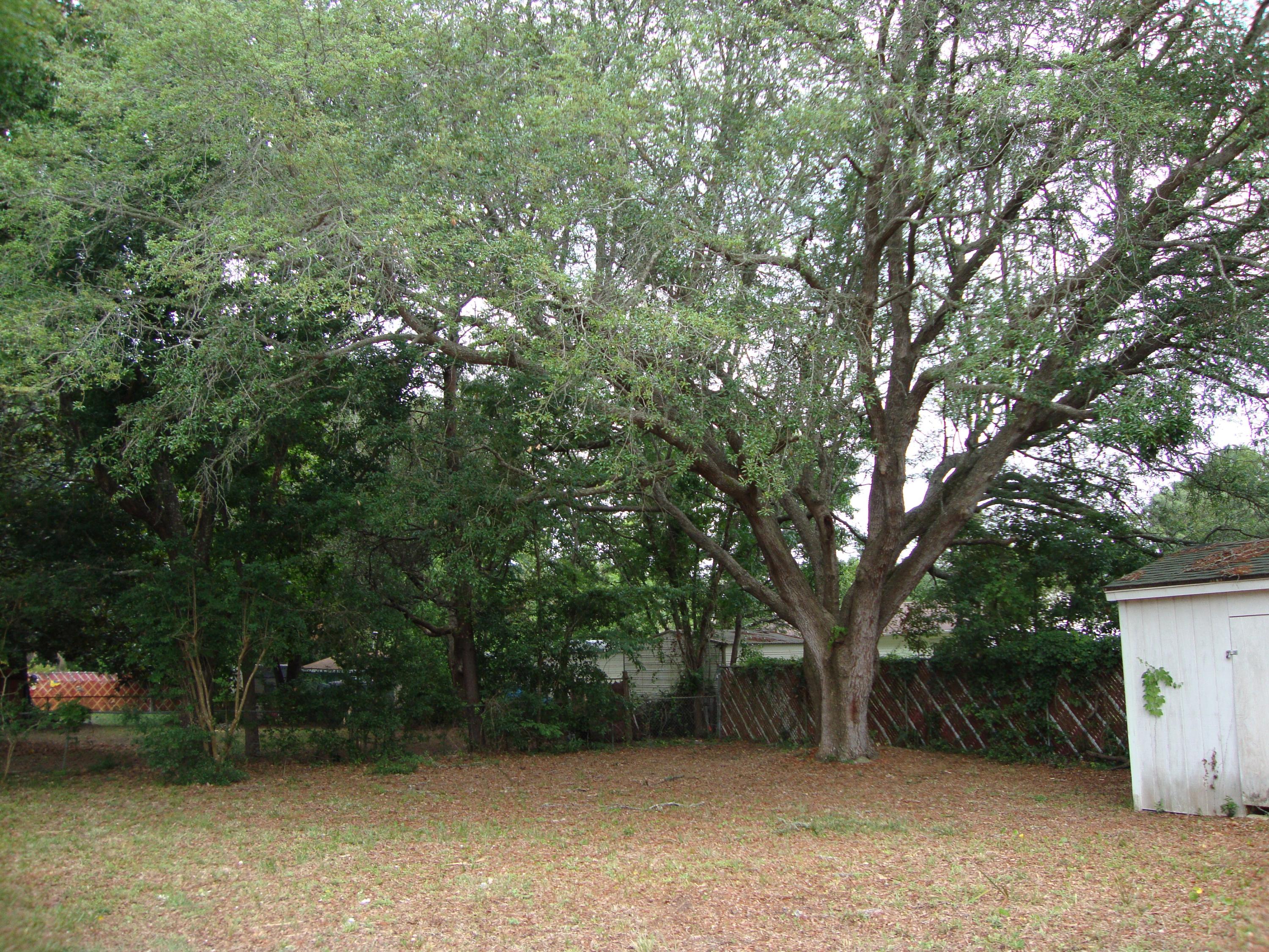 BAY RIDGE - Residential