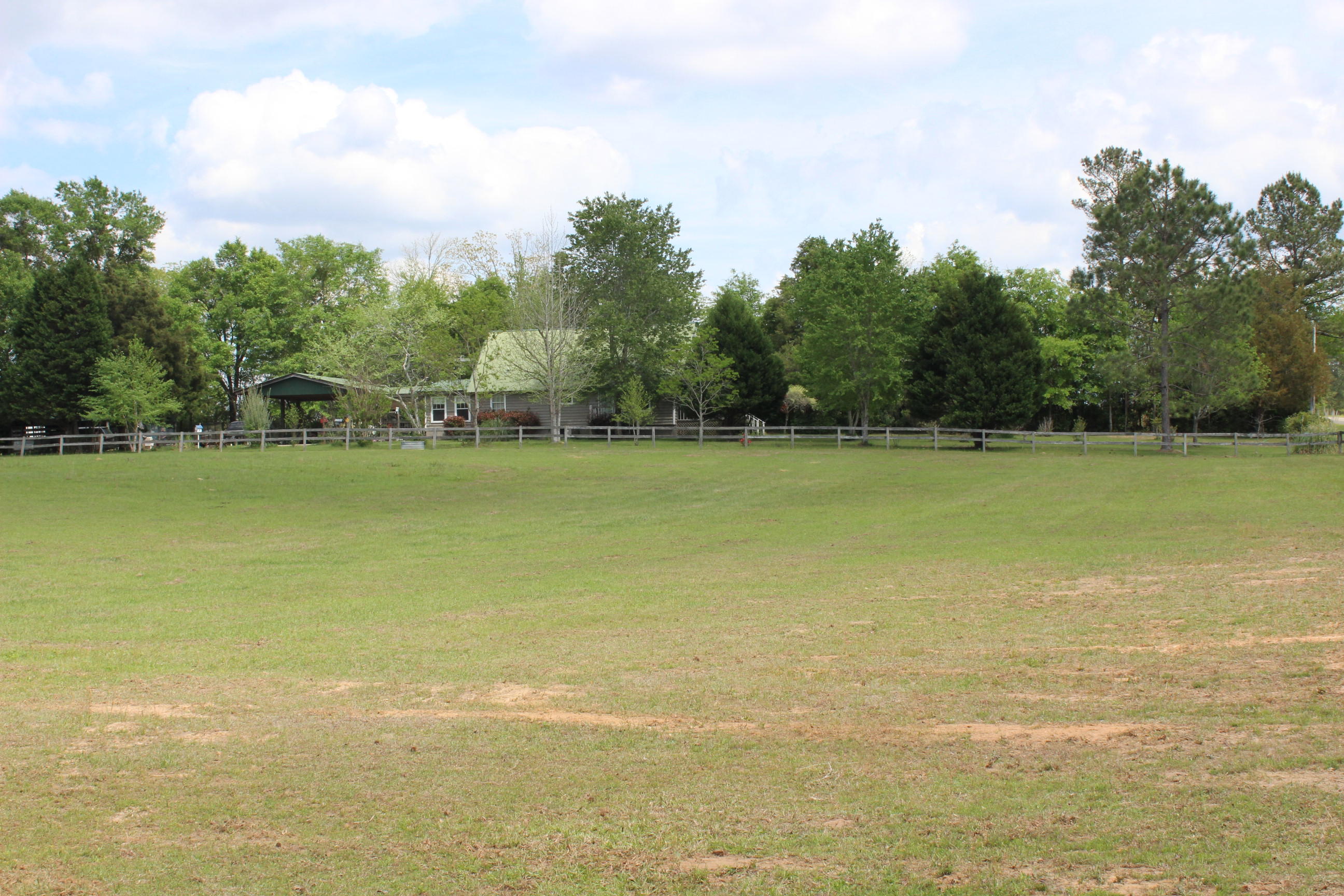 Earl Campbell Rd - Farm