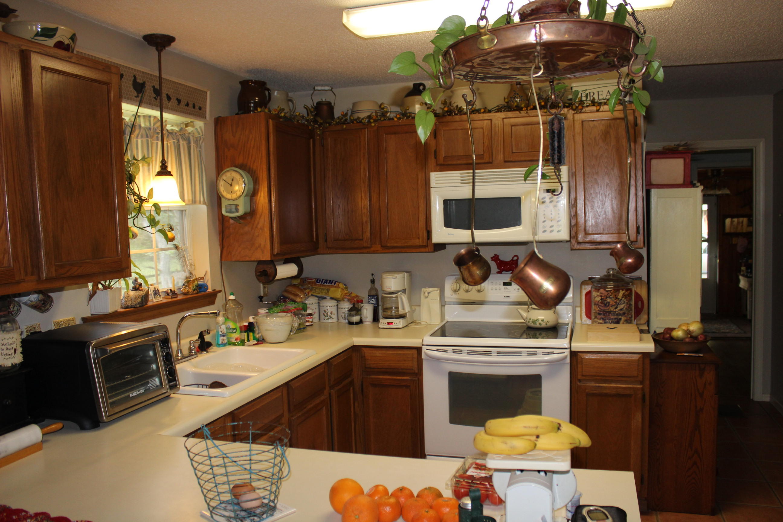 Earl Campbell Rd - Farm