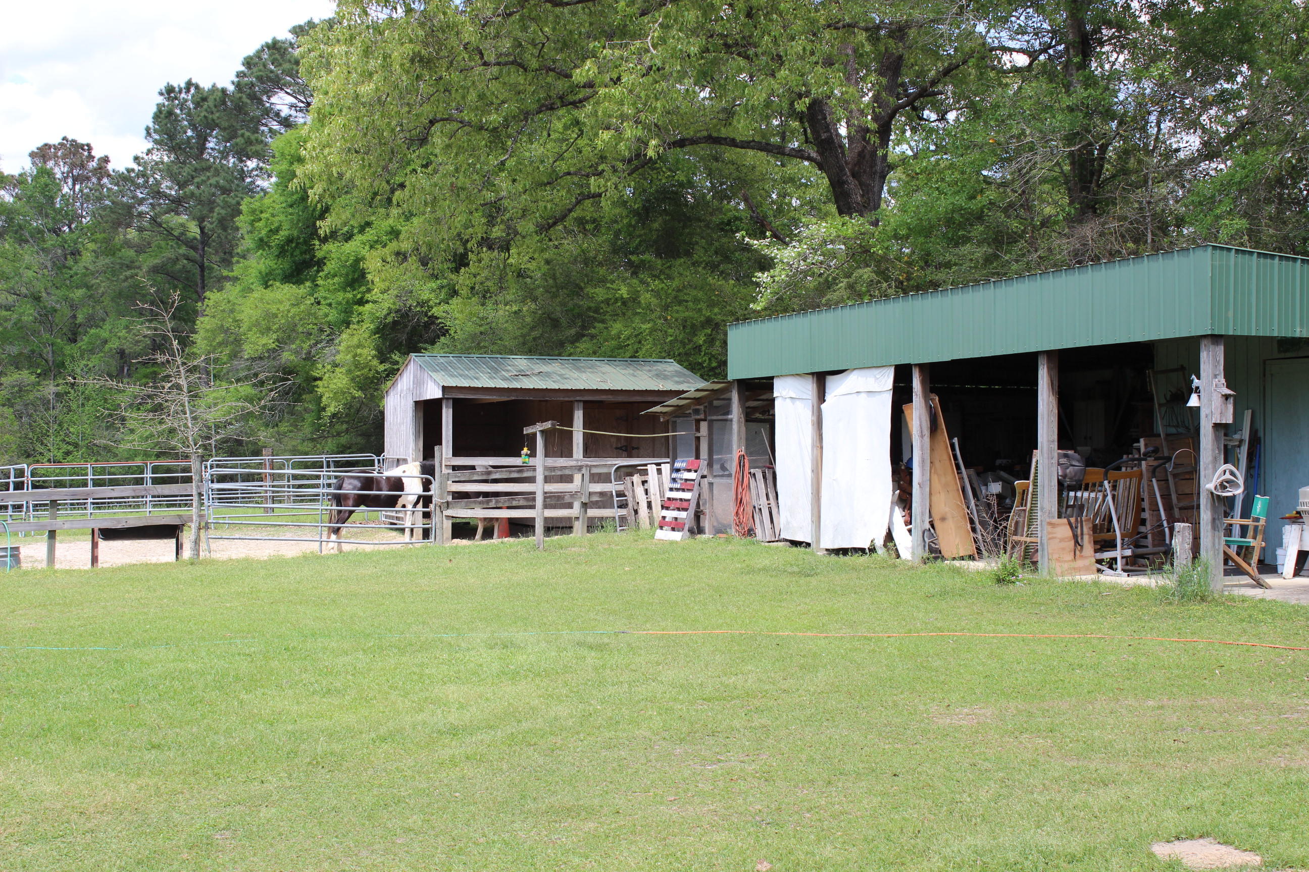 Earl Campbell Rd - Farm