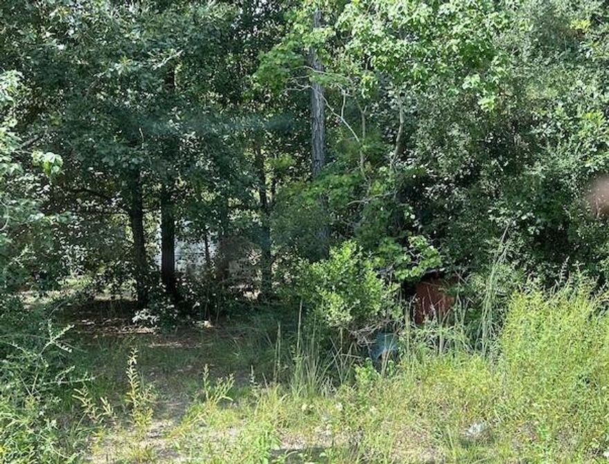 One lot in the fast growing area of Town of Santa Rosa.  New homes going up all over.  Don't miss your opportunity to live in an affordable area of Santa Rosa Beach.

AE Flood Zone.
Water and Sewer are available from Regional Utilities.