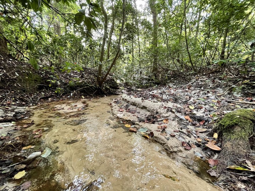 Bring your build plans  today!  Perfect area to build a dream home! Peaceful country living! 40+/- Acres here on Creston Barrow Rd. Located in close proximity to the blackwater forest