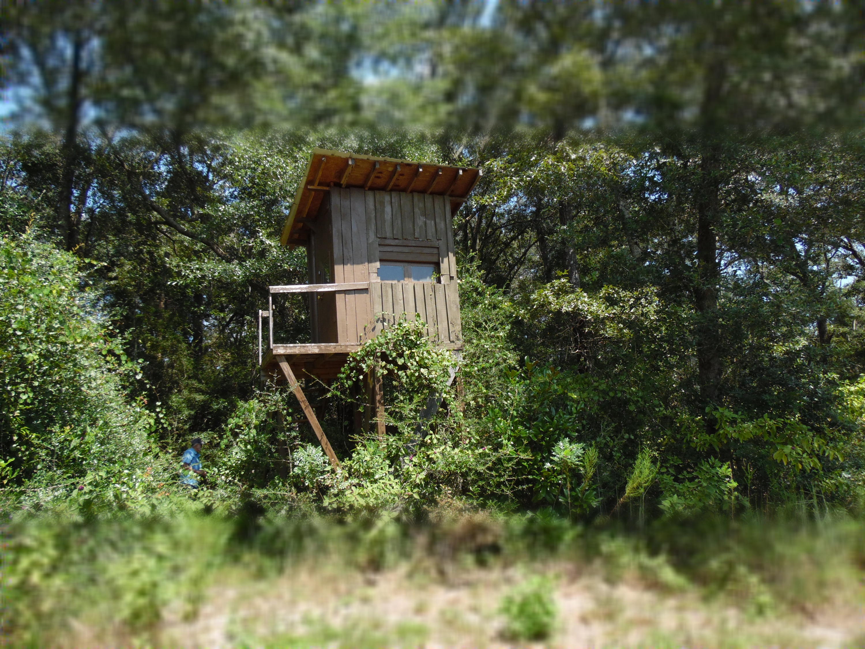 METES & BOUNDS - Land